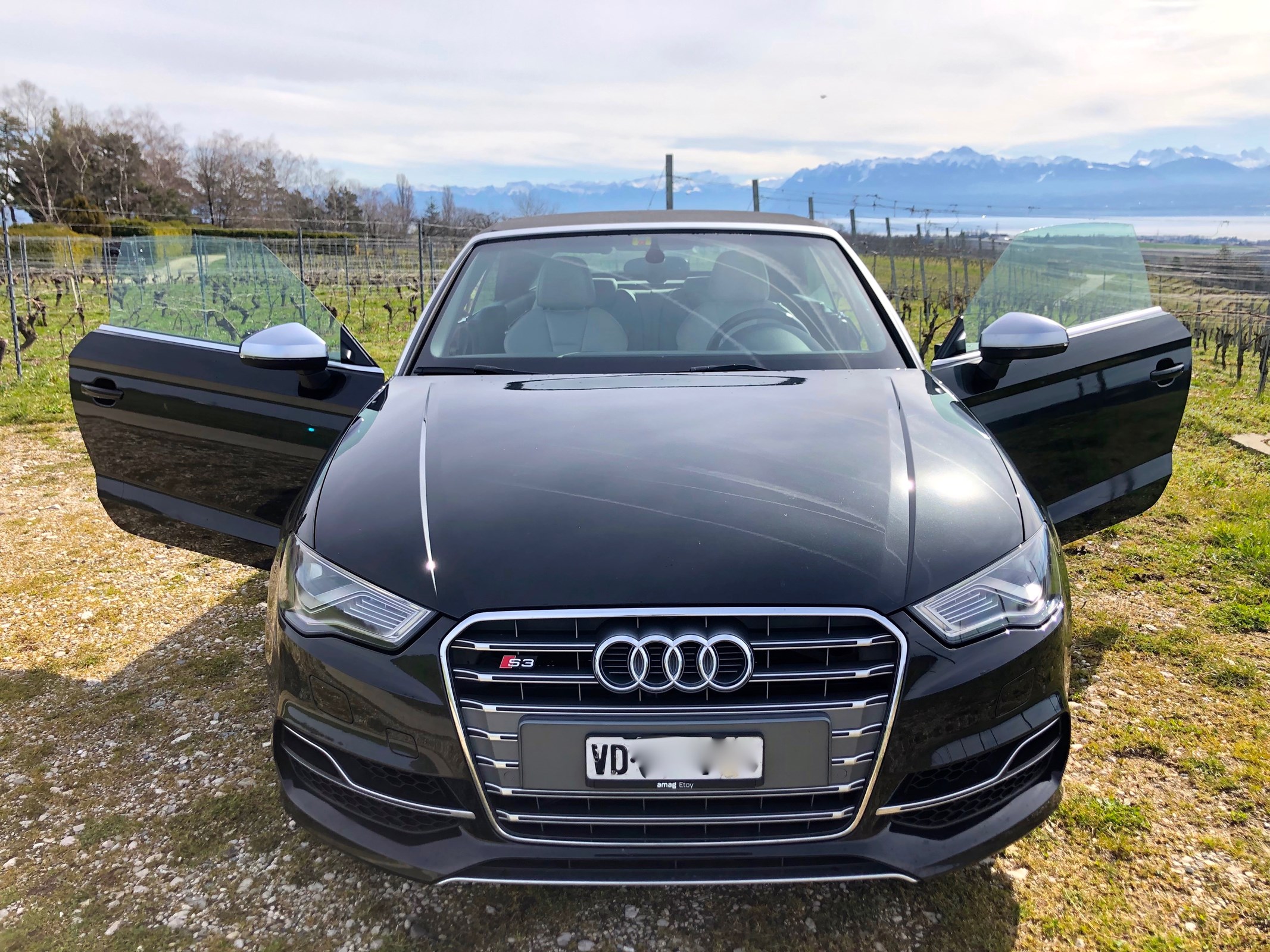 AUDI S3 Cabrio 2.0 TFSI quattro S-tronic