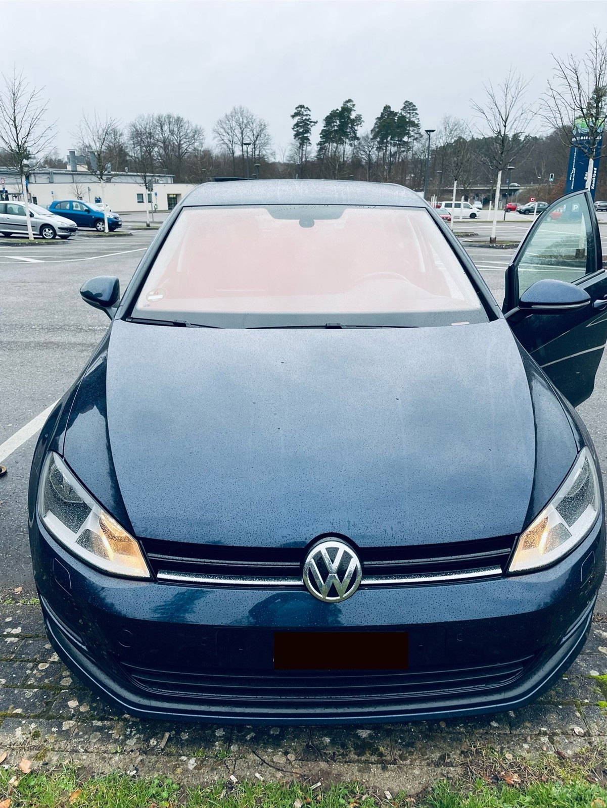 VW GOLF 1.6 TDI BlueMotion