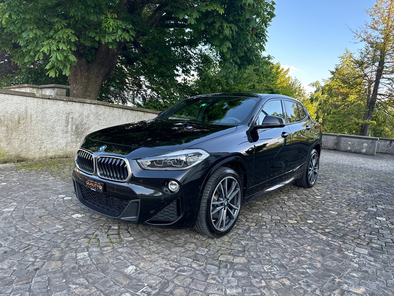 BMW X2 xDrive 20d M Sport Steptronic