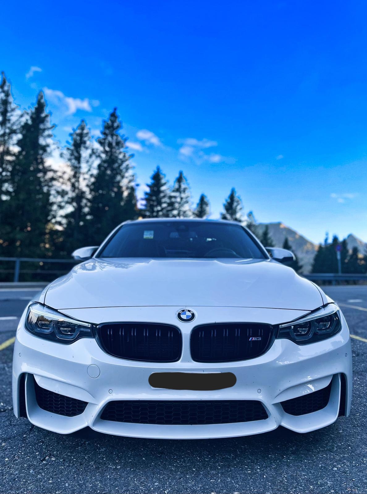 BMW M3 Drivelogic