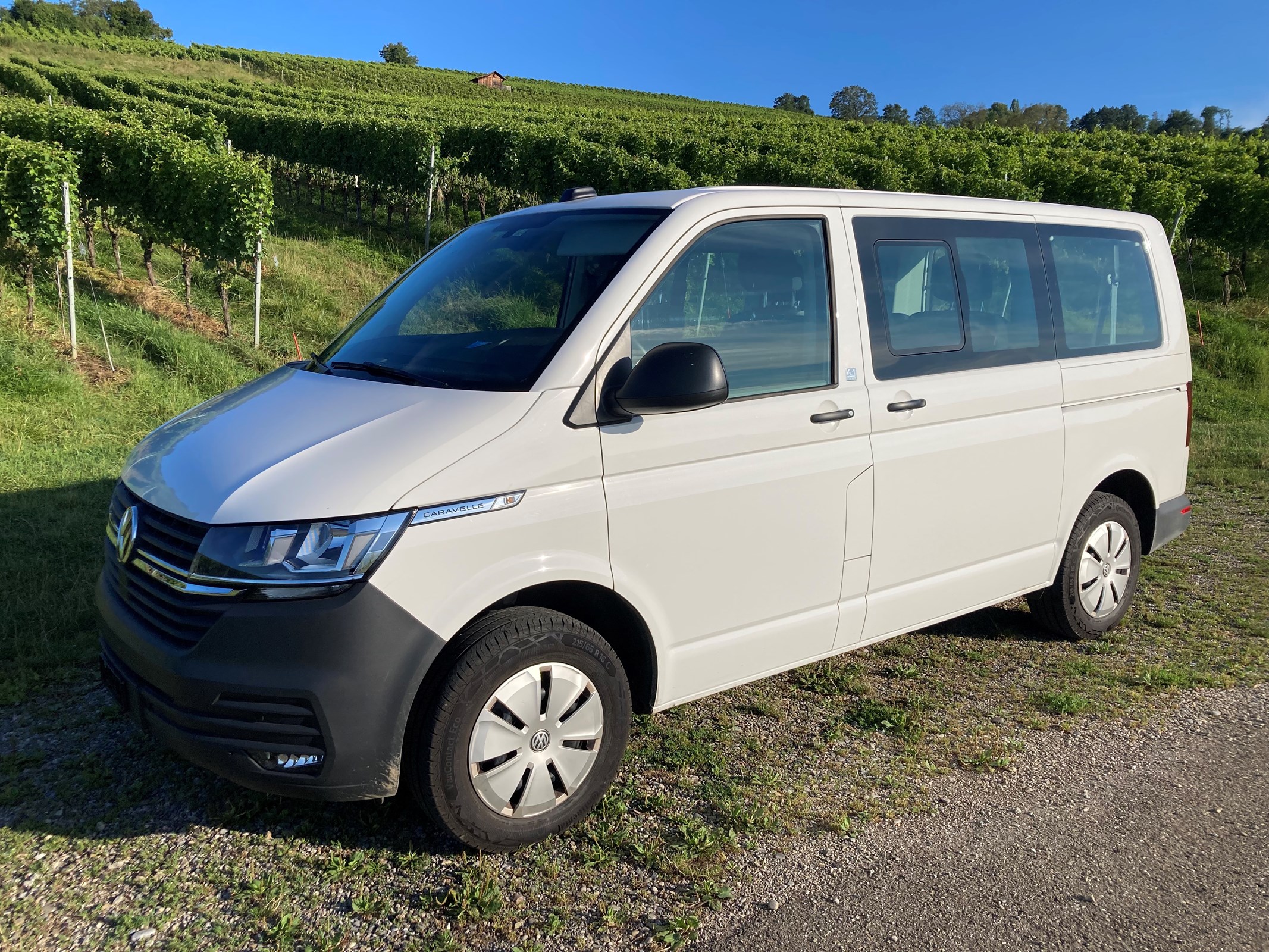 VW T6.1 Caravelle 2.0 TDI Trendline Liberty DSG