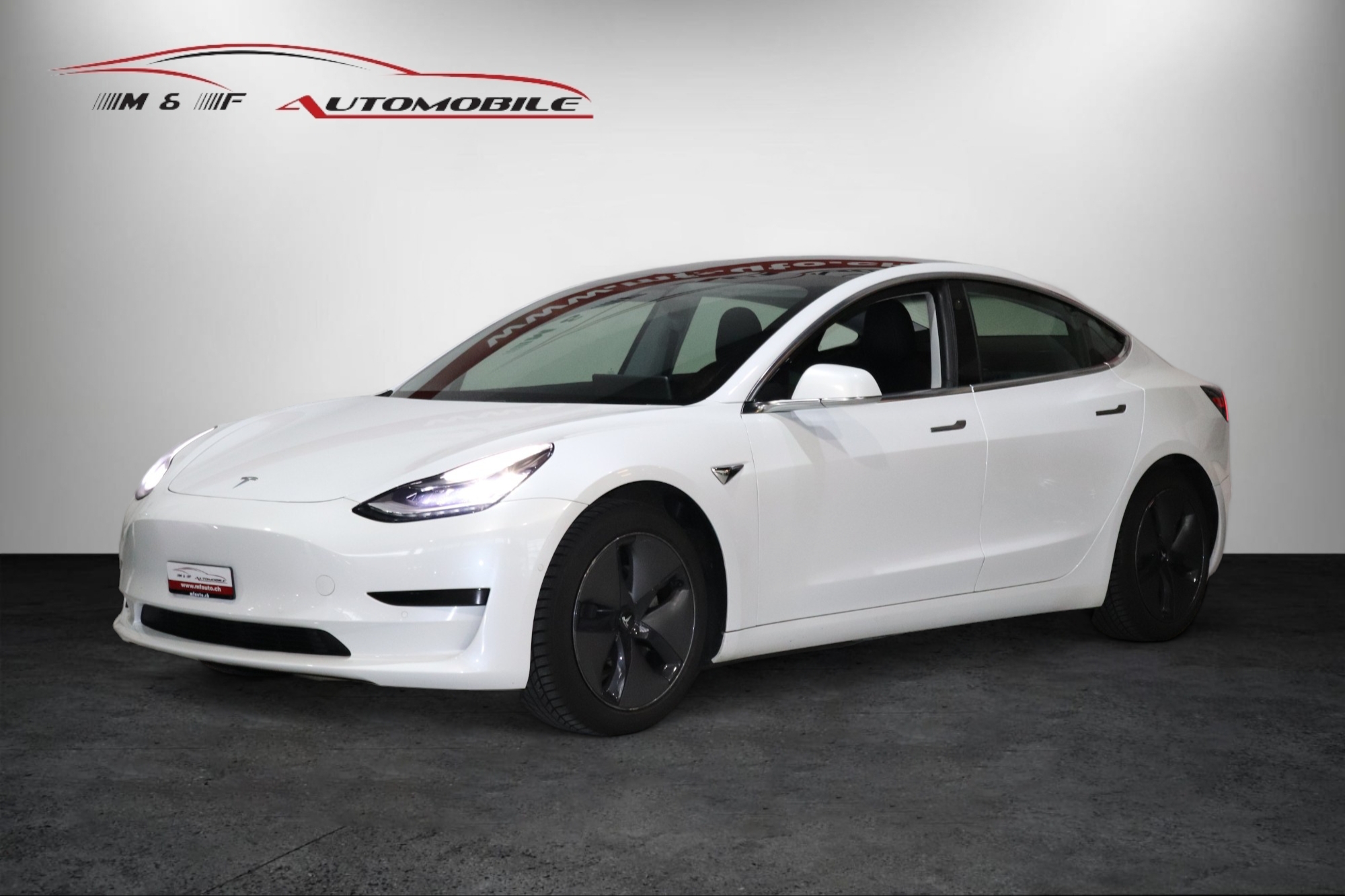 TESLA Model 3 Standart Range Plus *CH-FAHRZEUG*