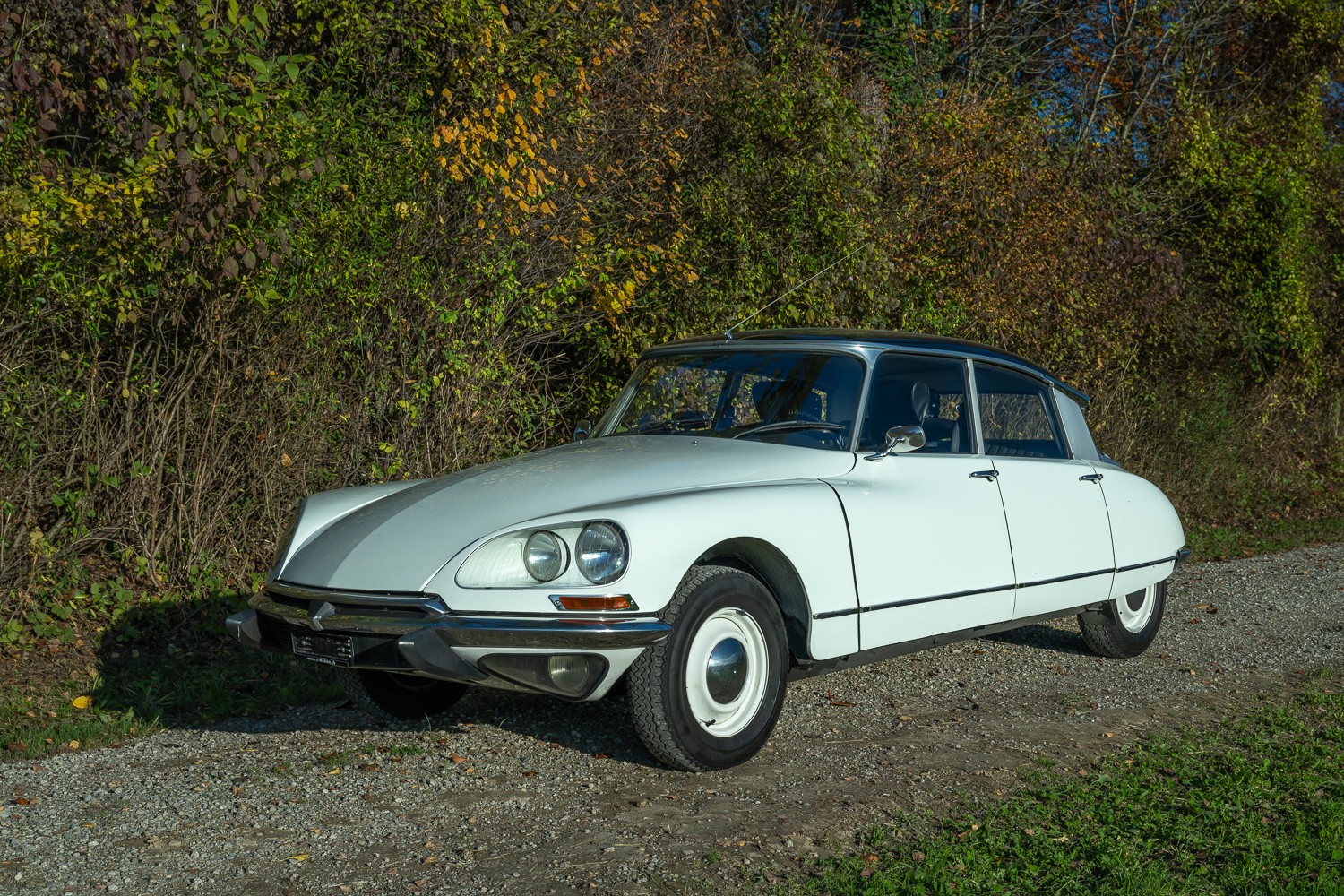 CITROEN ID 19b