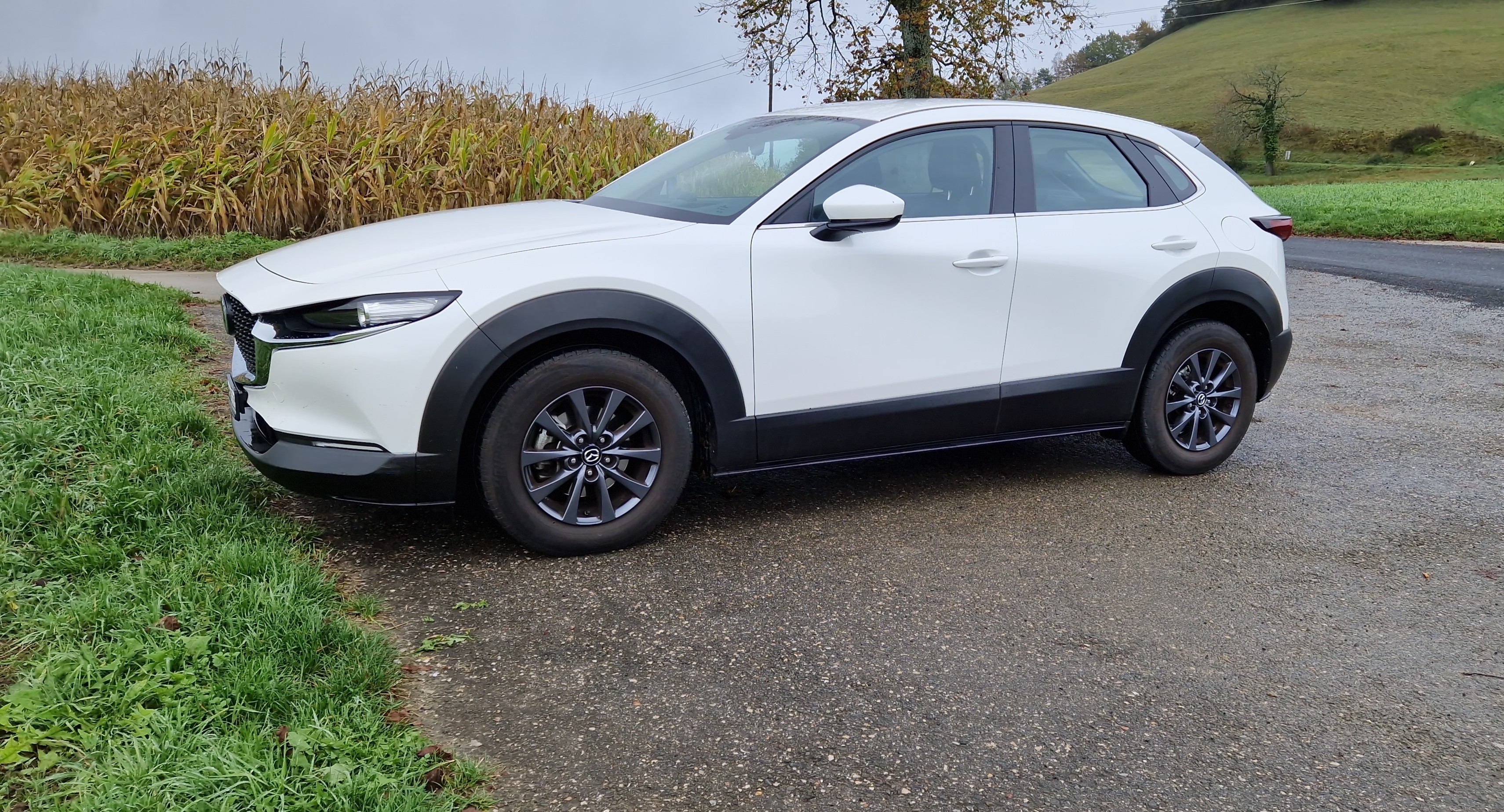 MAZDA CX-30 SKYACTIV-G M Hybrid 122 Ambition FWD Automat