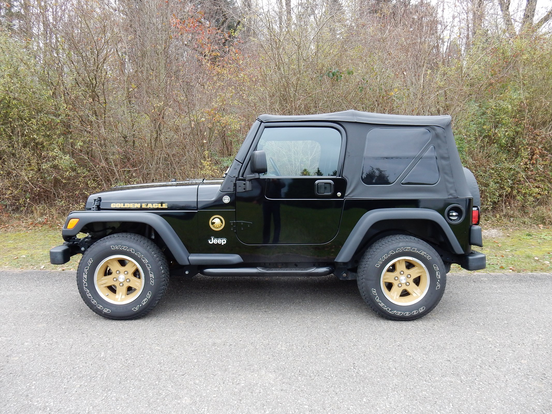 JEEP WRANGLER Golden Eagle