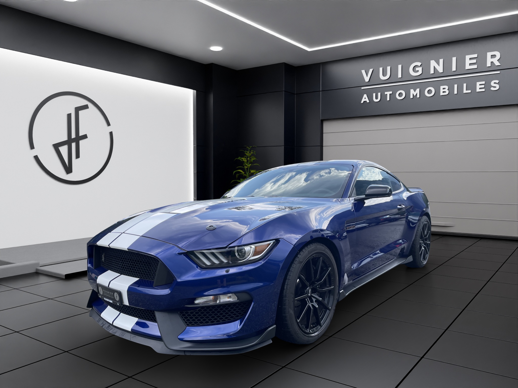 FORD Mustang Shelby GT350 Track Pack