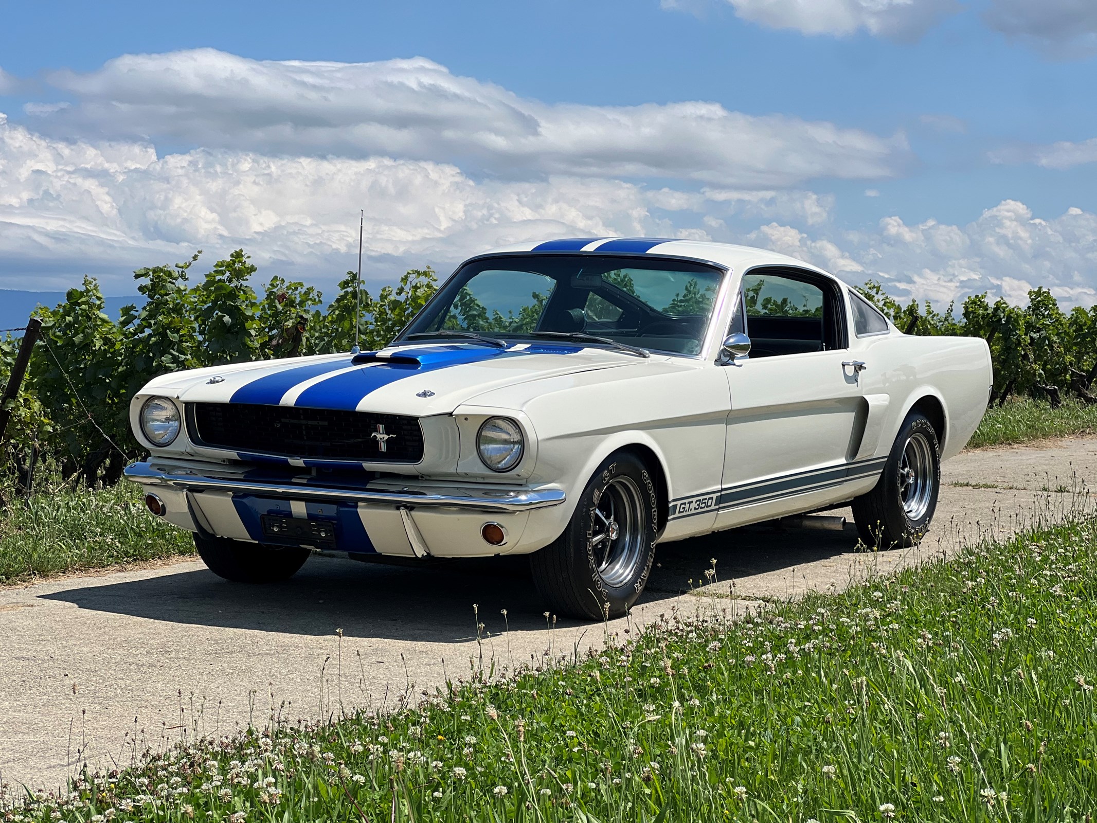 FORD MUSTANG GT350