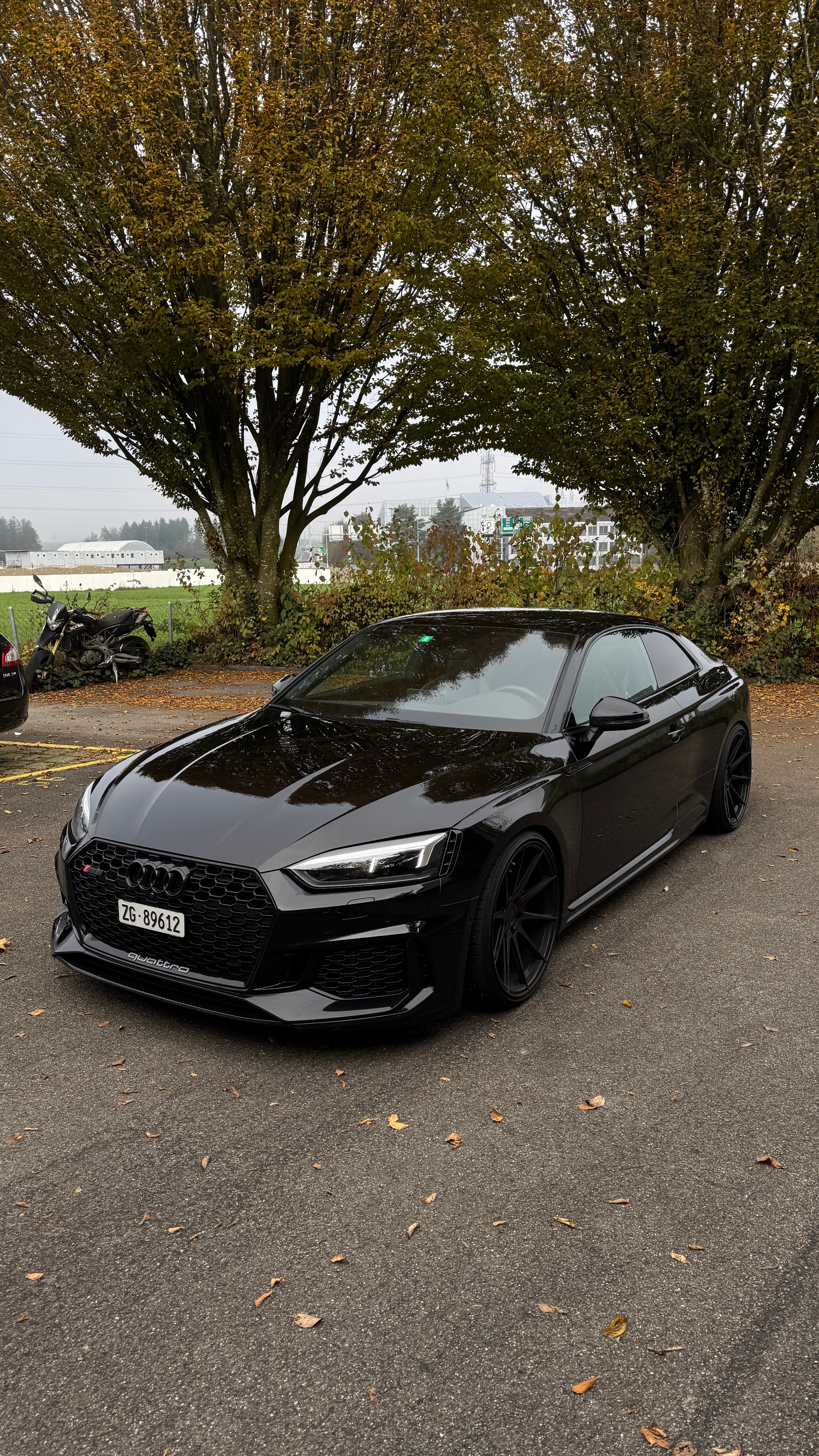 AUDI RS5 Coupé 2.9 TFSI quattro tiptronic