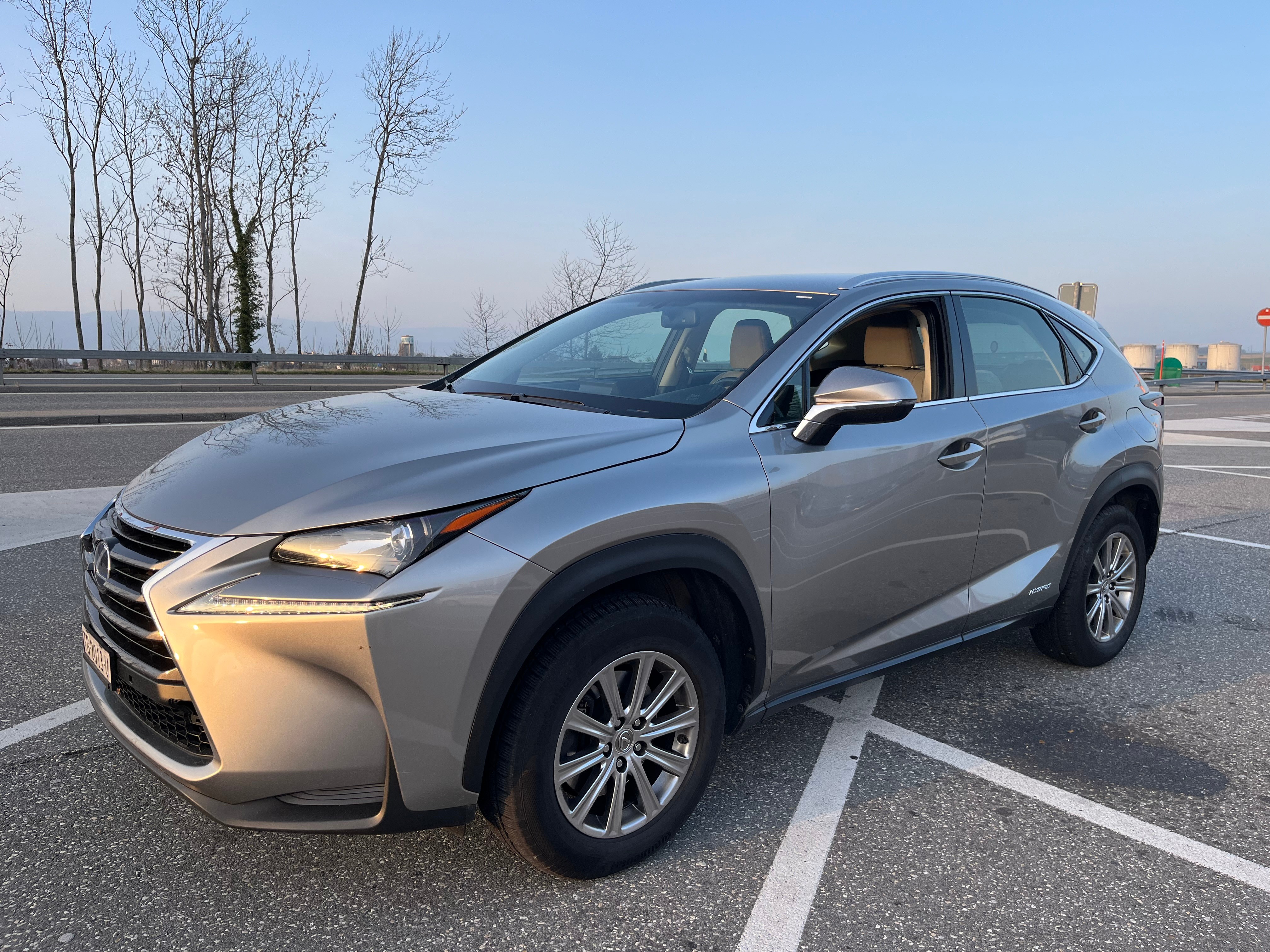 LEXUS NX 300h comfort E-Four Automatic