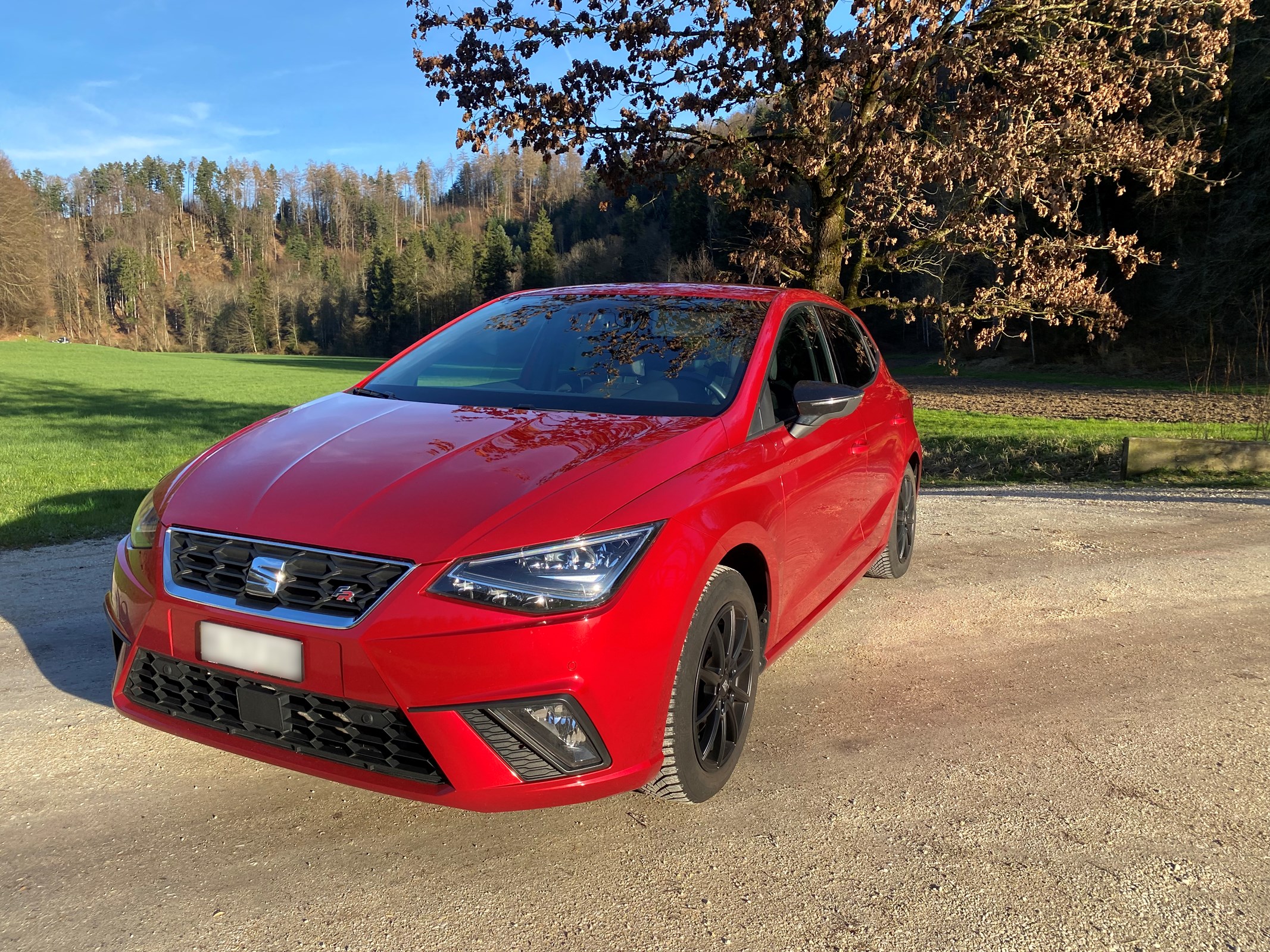 SEAT Ibiza 1.5 EcoTSI FR DSG