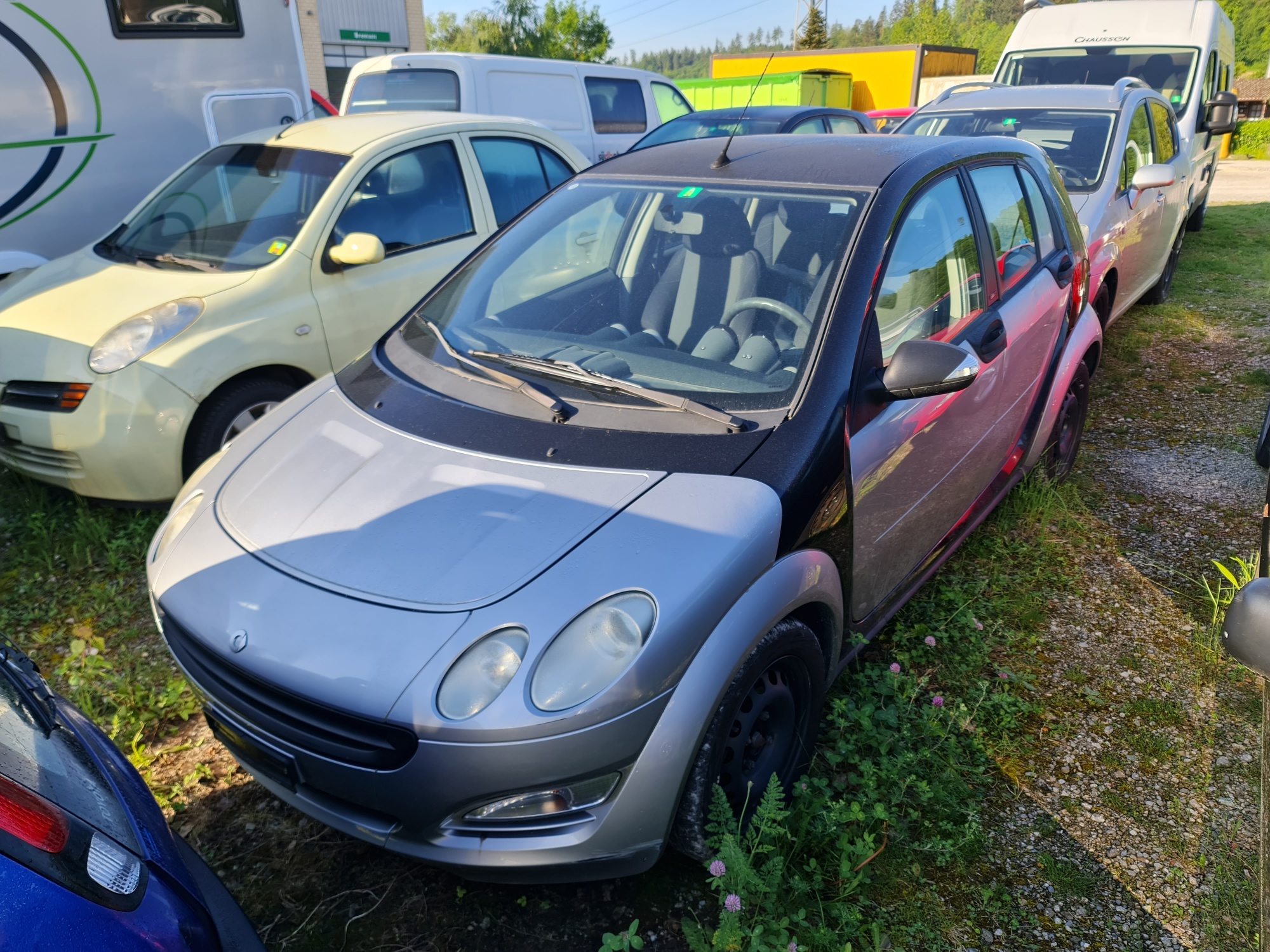 SMART forfour 1.3 pulse