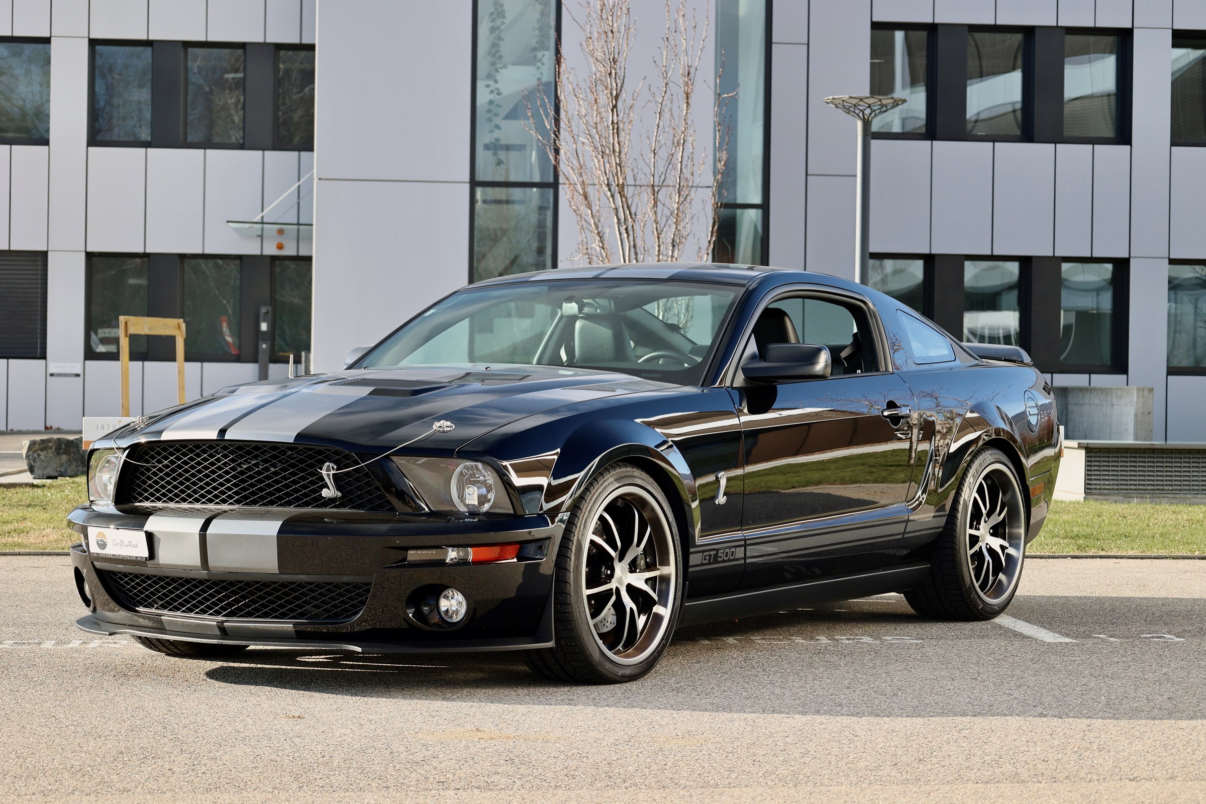 FORD MUSTANG Shelby GT 500