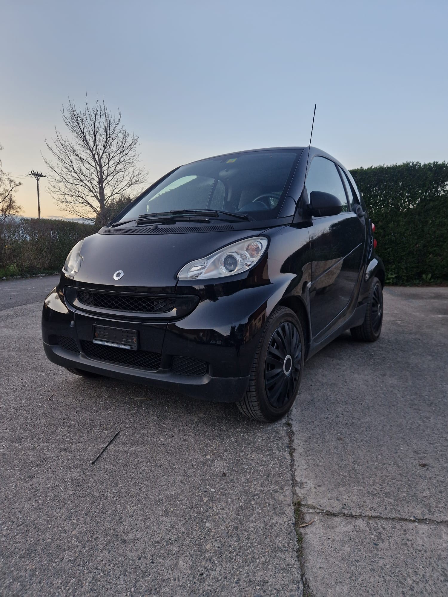 SMART fortwo pulse softouch