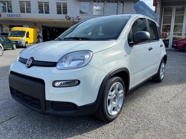 FIAT Panda 1.0 MHEV Cult