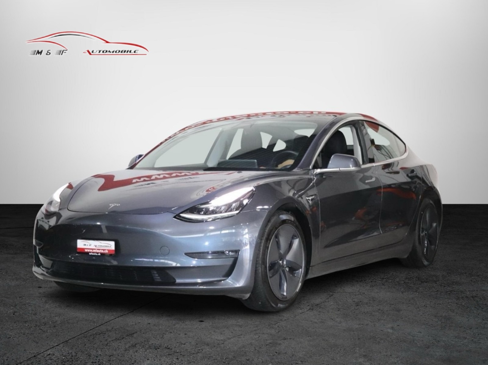 TESLA Model 3 Standart Range Plus