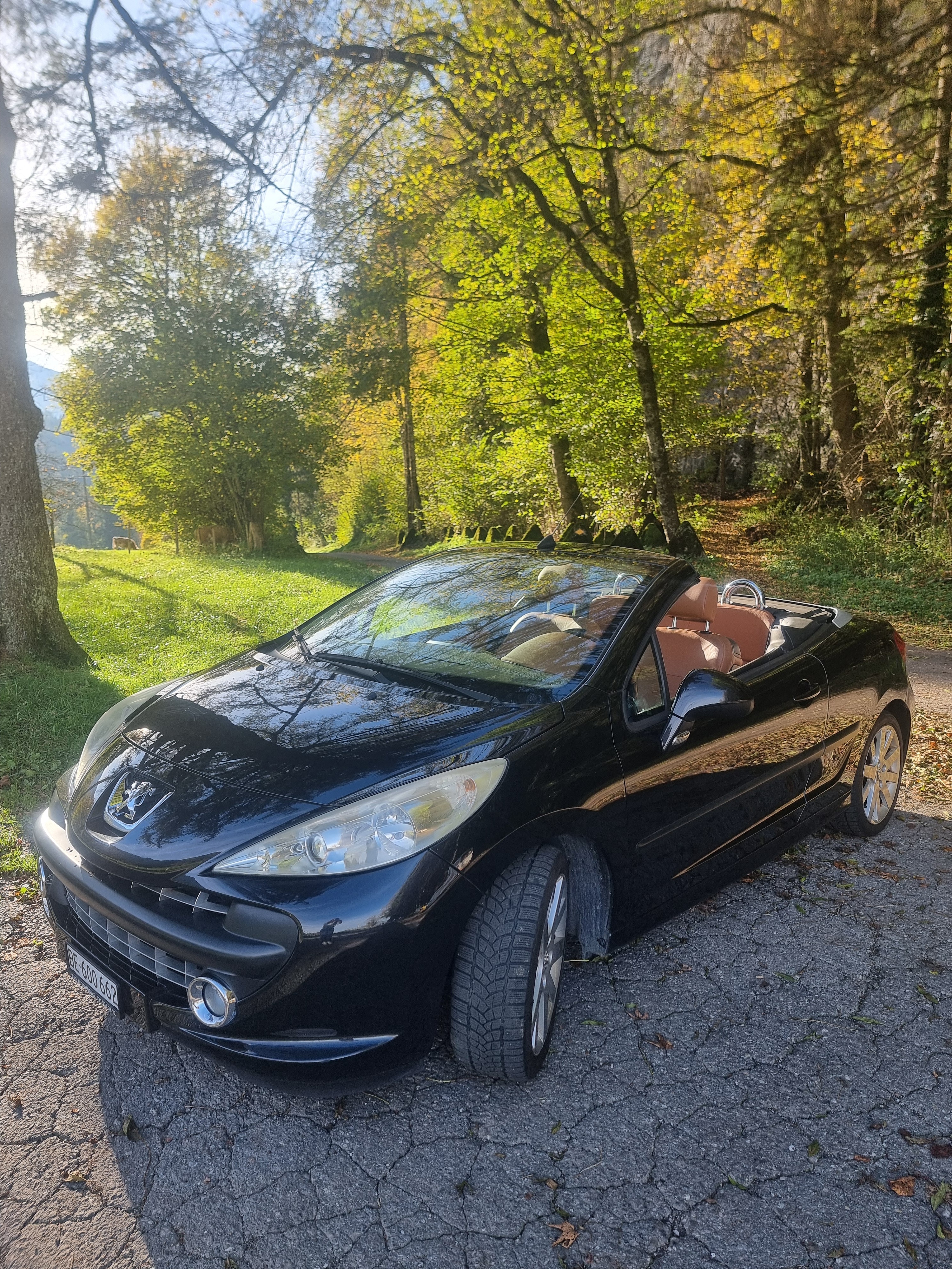 PEUGEOT 207 CC 1.6 16V Turbo Platinium Edition