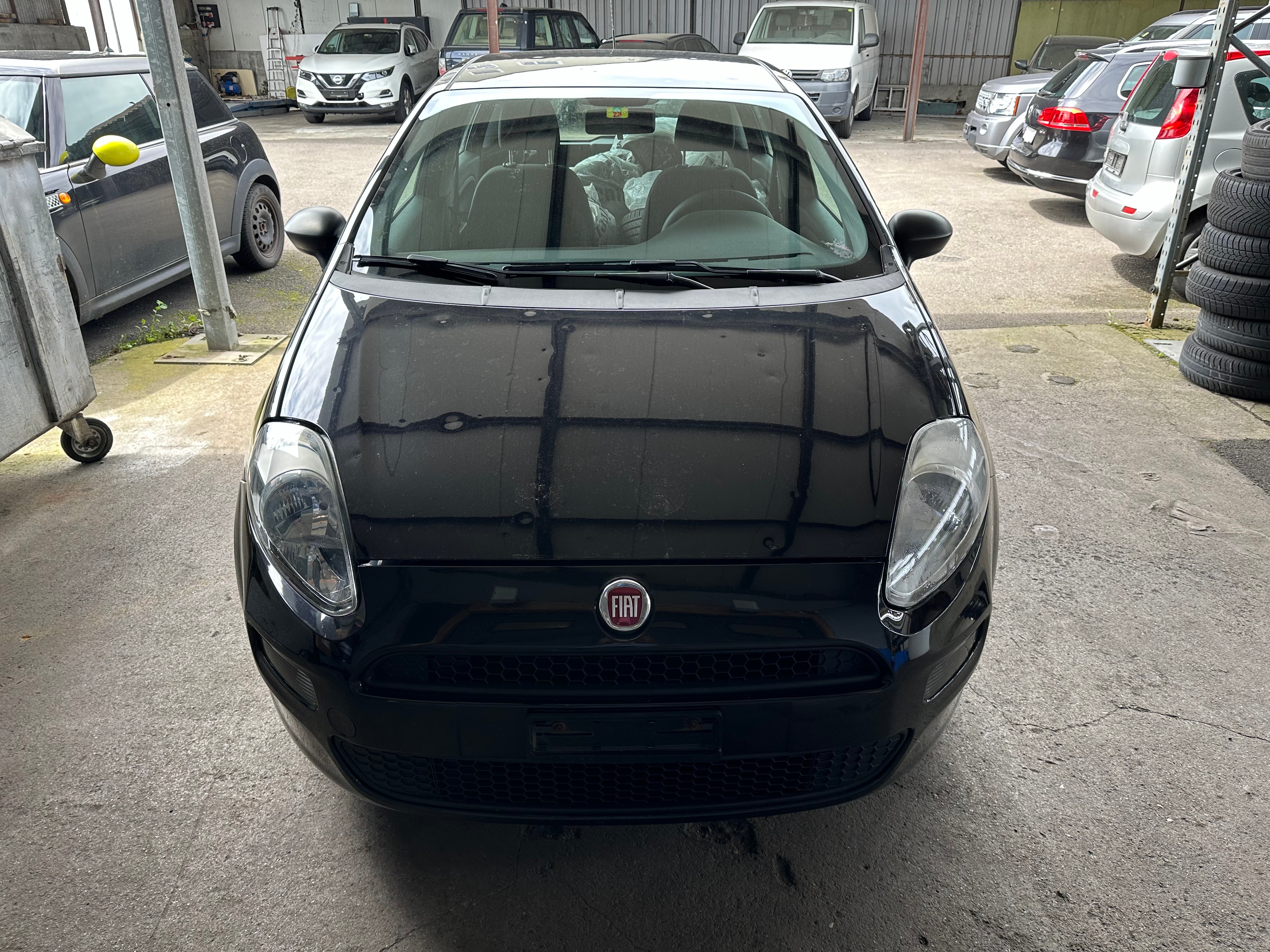 FIAT Punto 1.2 Young