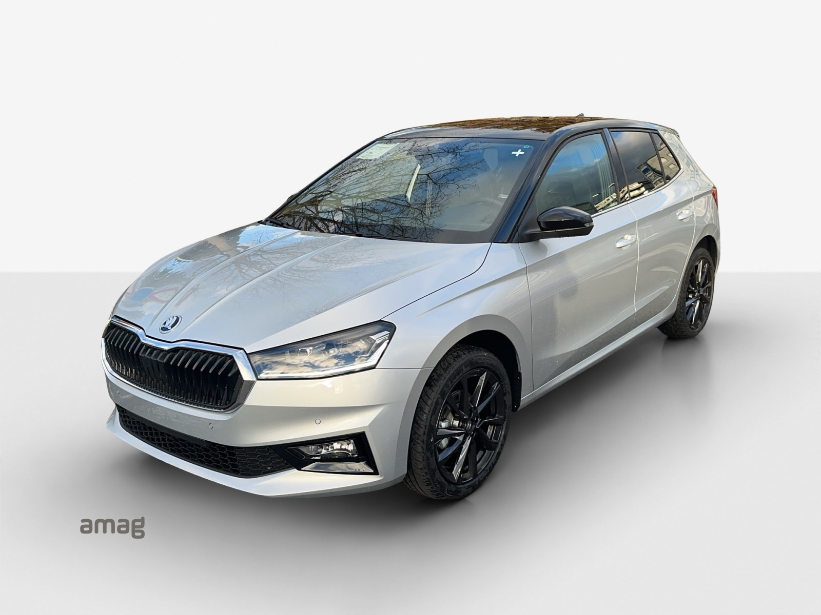 SKODA Fabia 1.0 TSI Selection