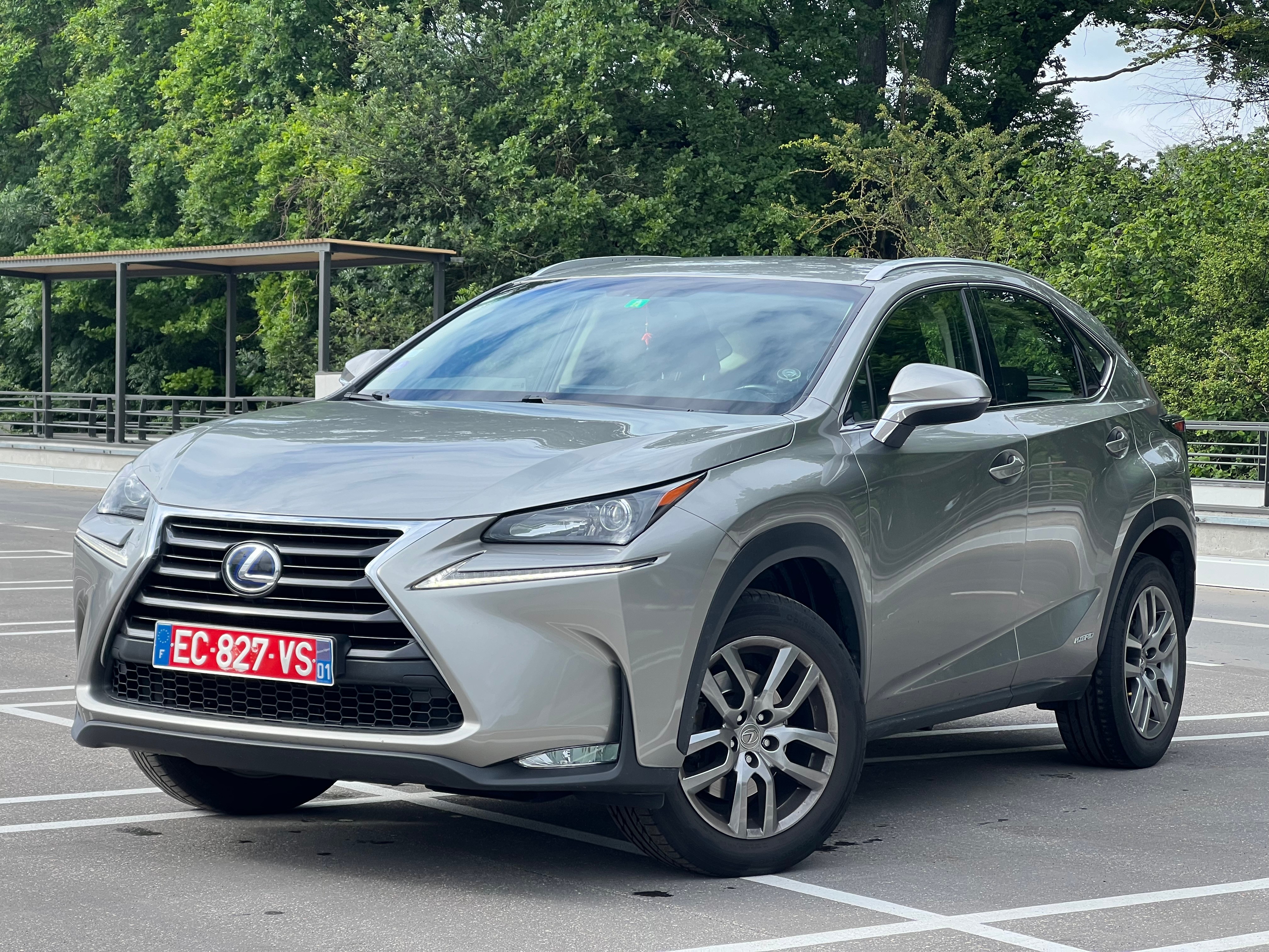 LEXUS NX 300h Comfort E-Four Automatic