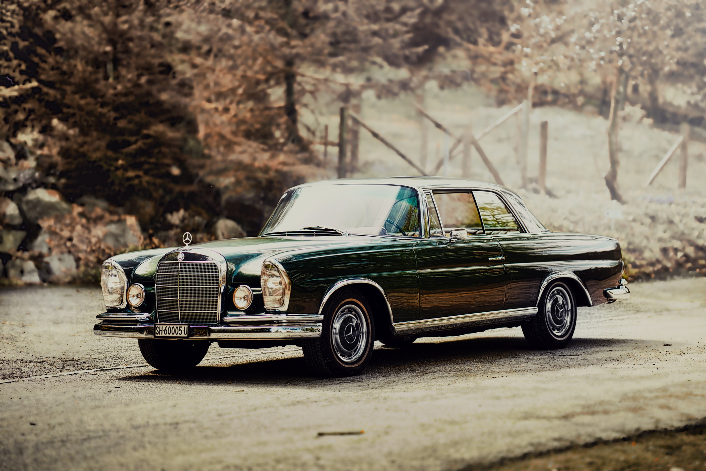 MERCEDES-BENZ 250 SE/C