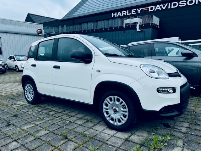 FIAT Panda 1.0 MHEV Cult Plus +