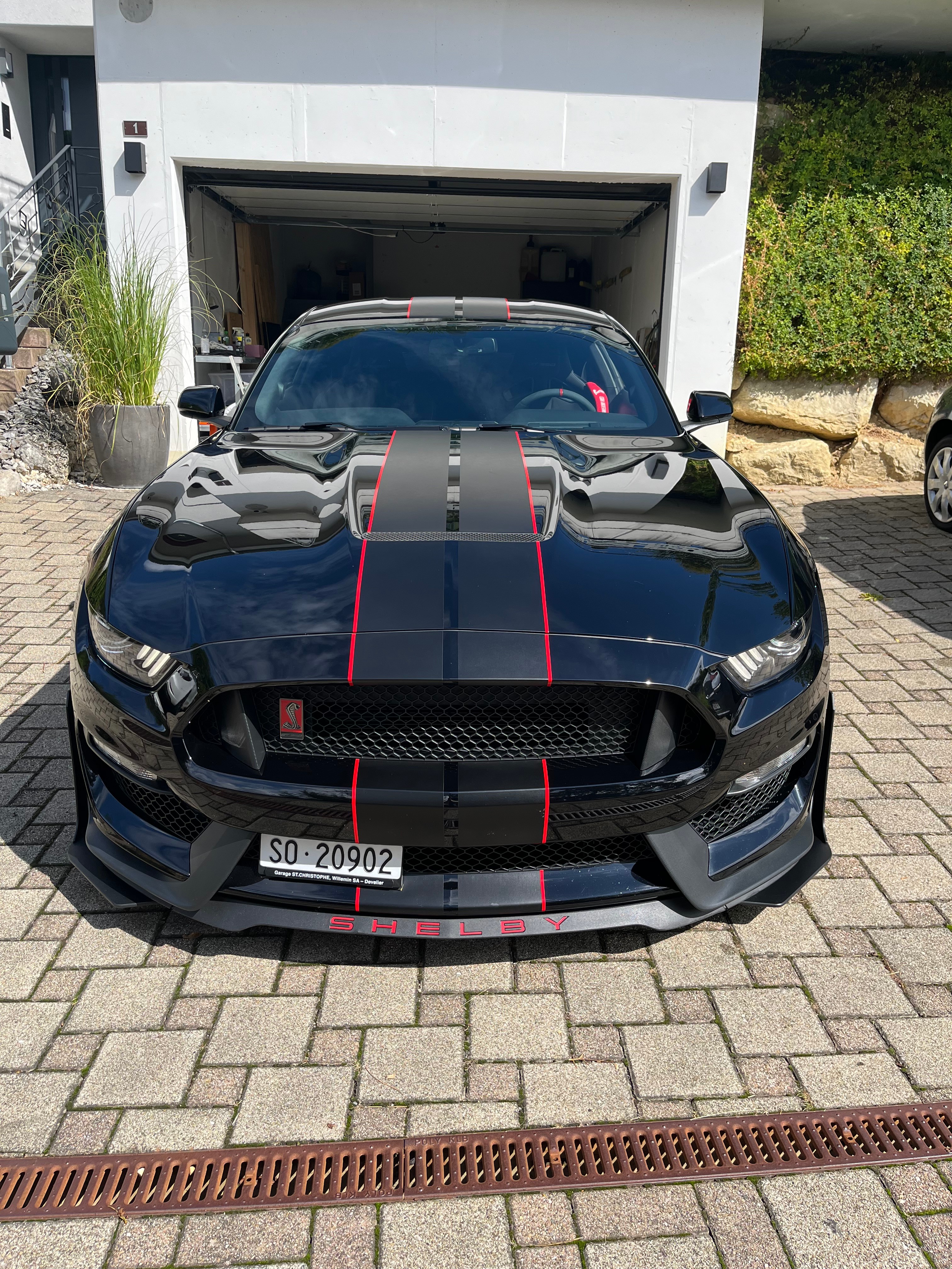 FORD Shelby GT350