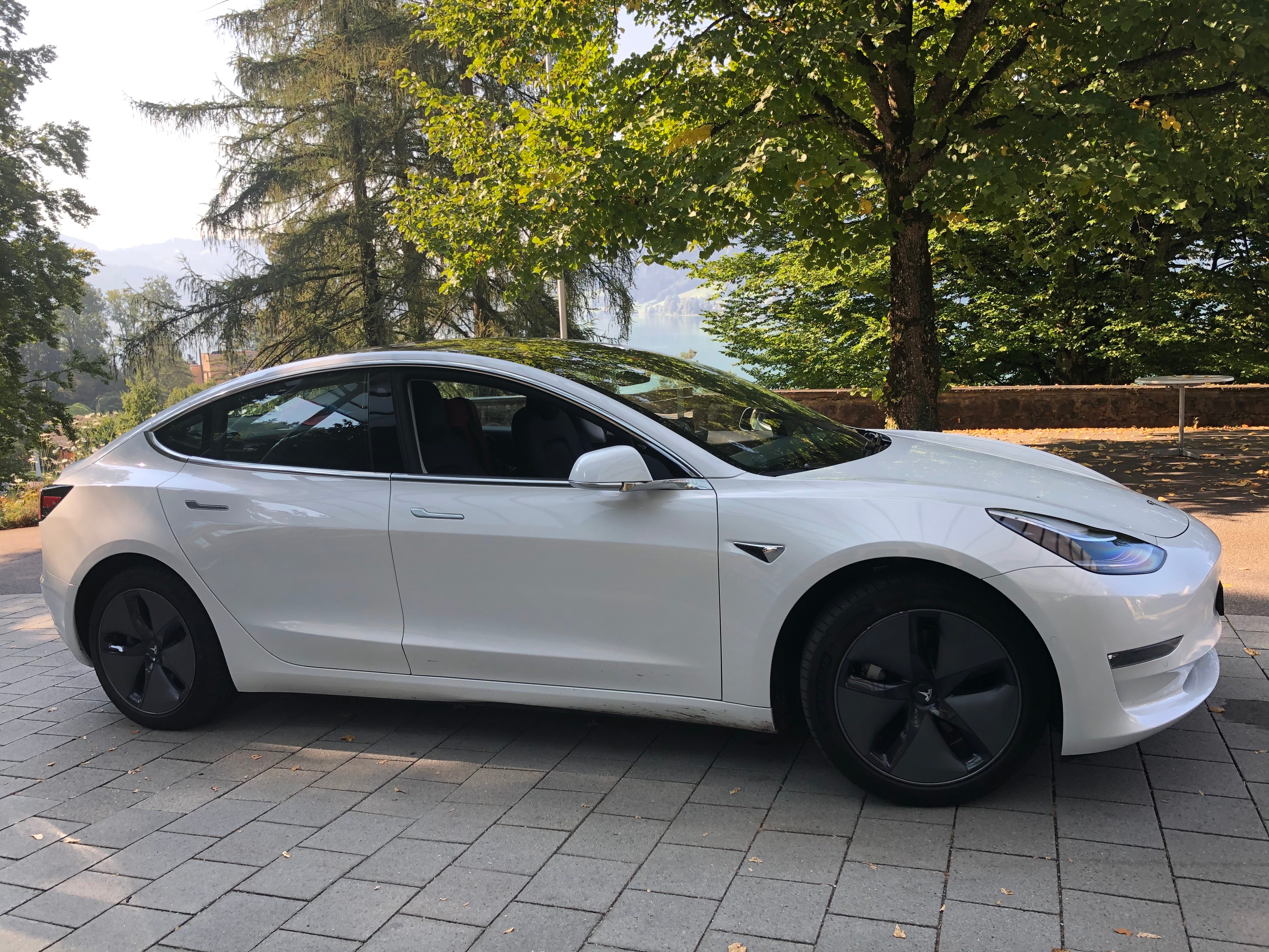 TESLA Model 3 Performance Dual Motor AWD