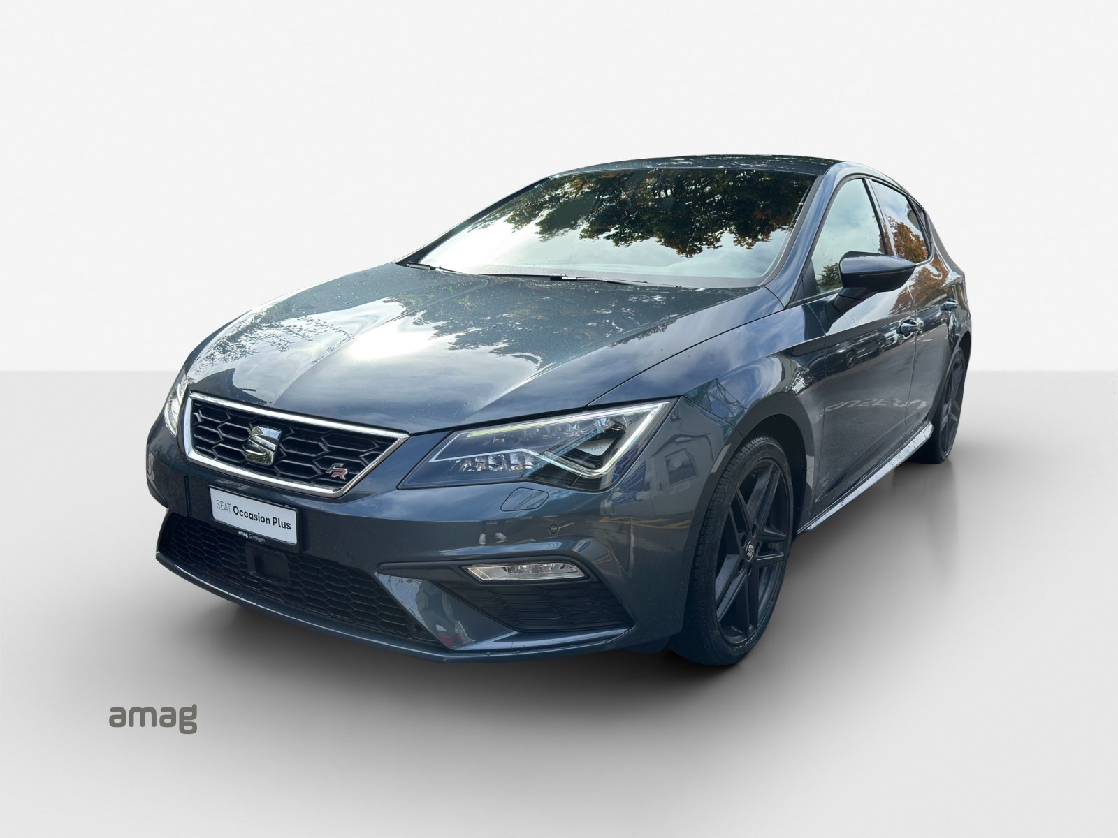 SEAT Leon 1.5 TGI CNG Swiss FR DSG