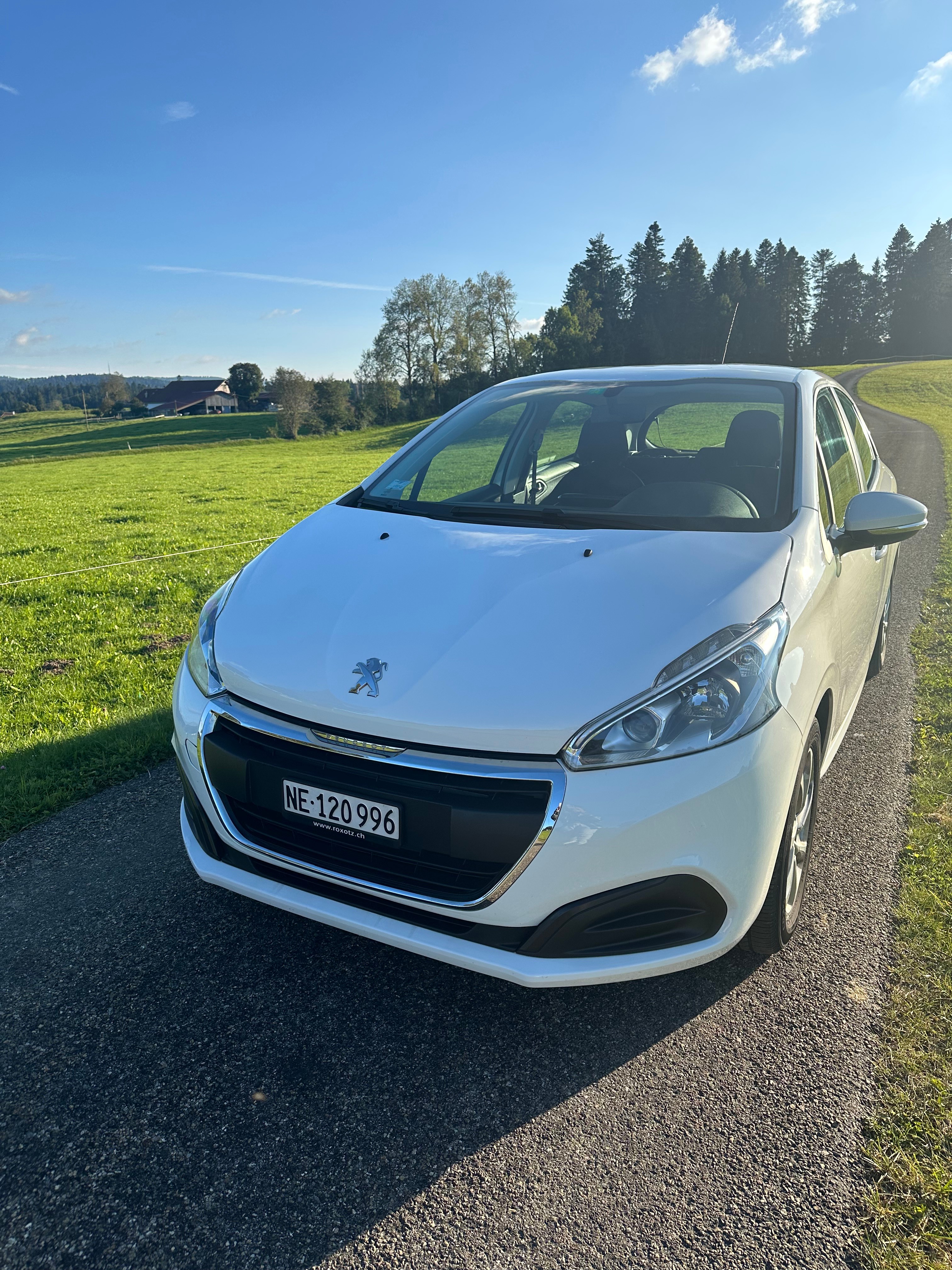 PEUGEOT 208 1.2 PureTech Style