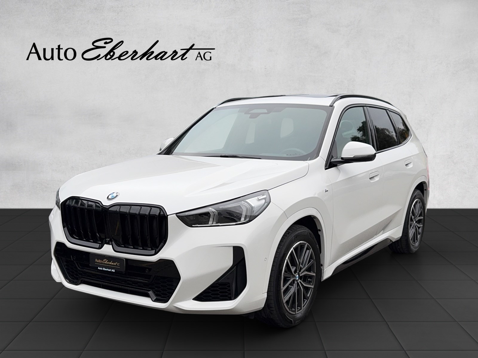 BMW X1 xDrive 23i 48V M Sport