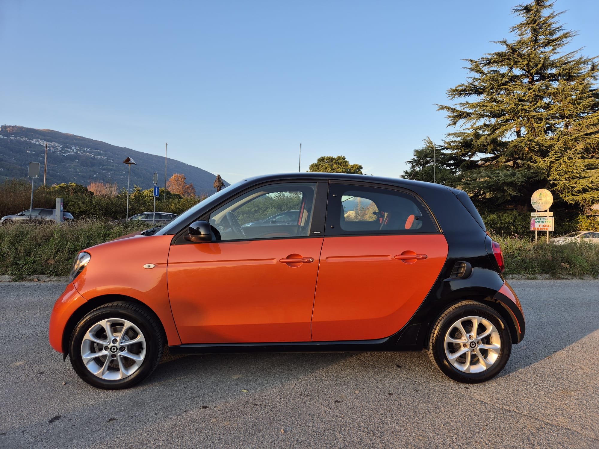 SMART forfour passion