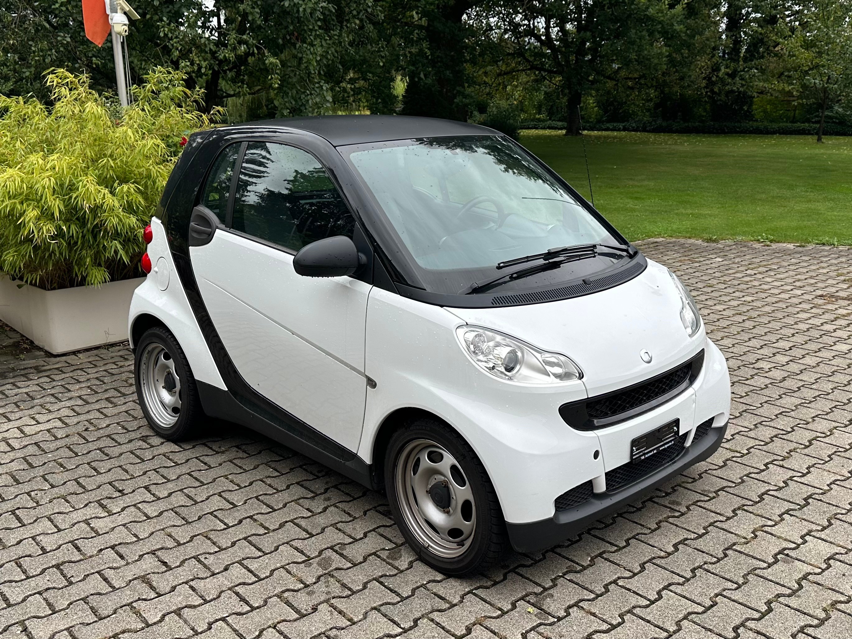 SMART fortwo pure mhd softouch