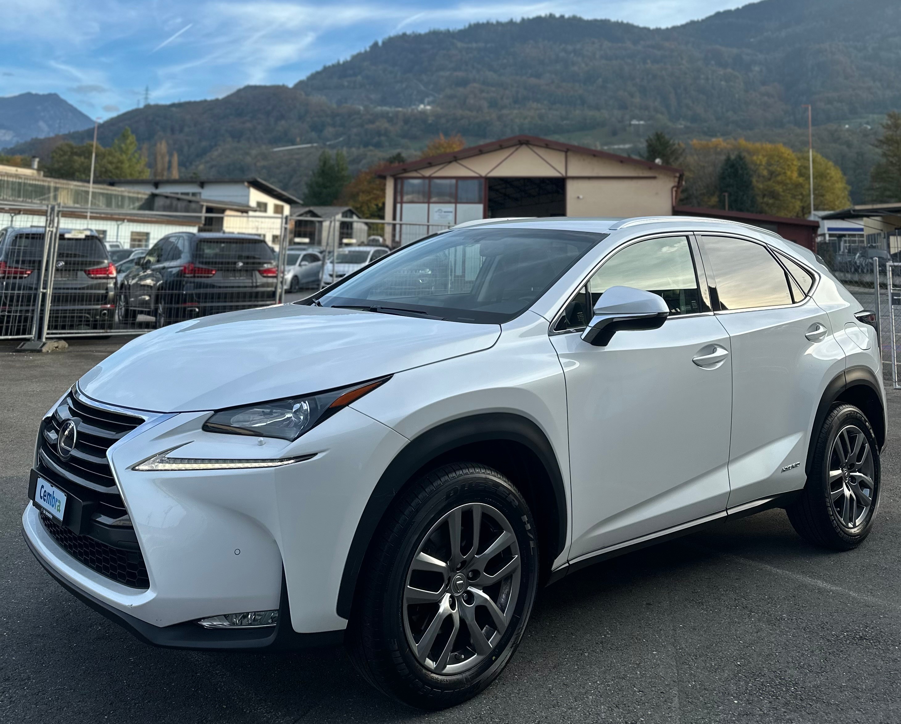 LEXUS NX 300h comfort E-Four Automatic