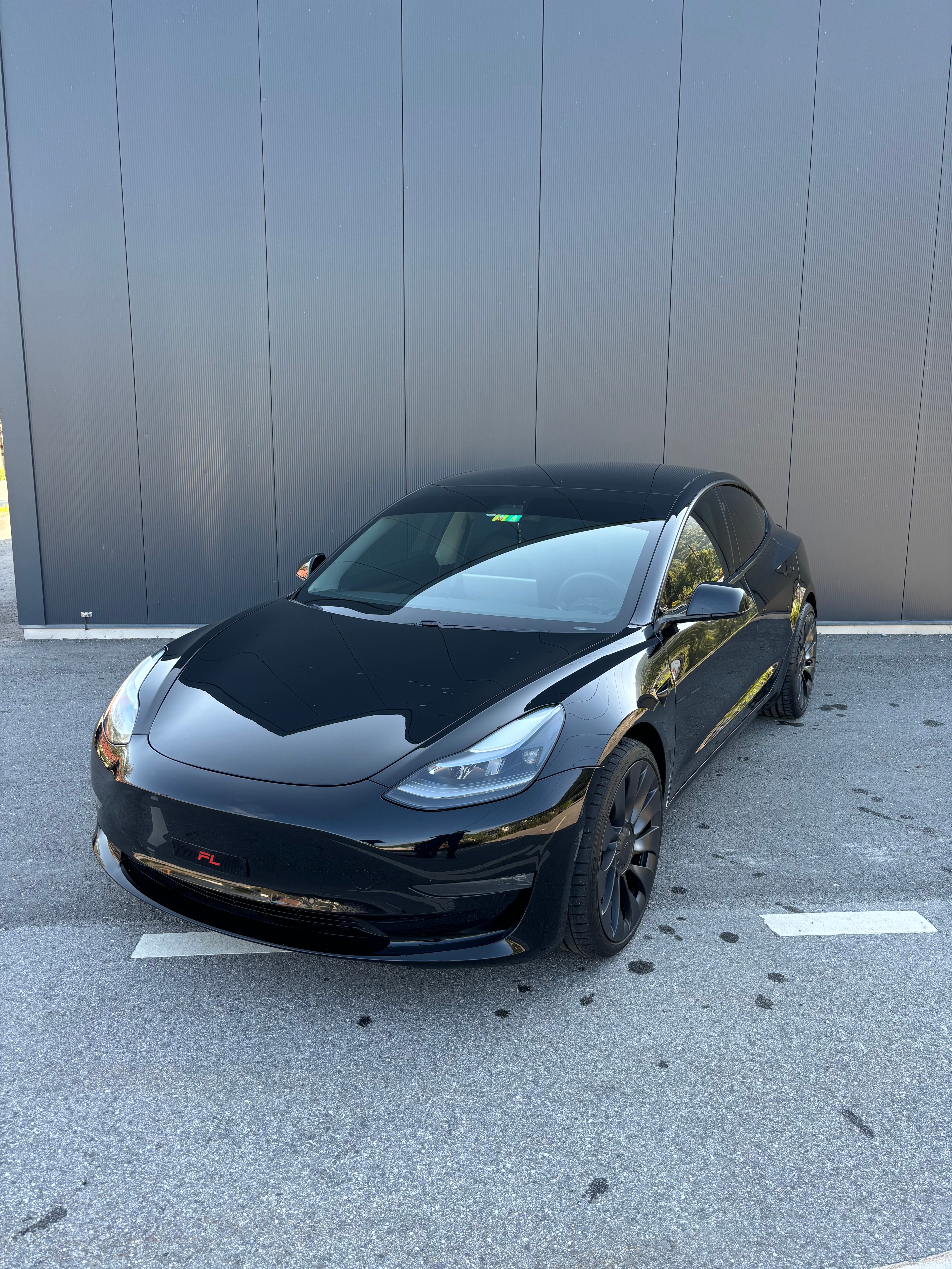 TESLA Model 3 Performance Dual Motor AWD