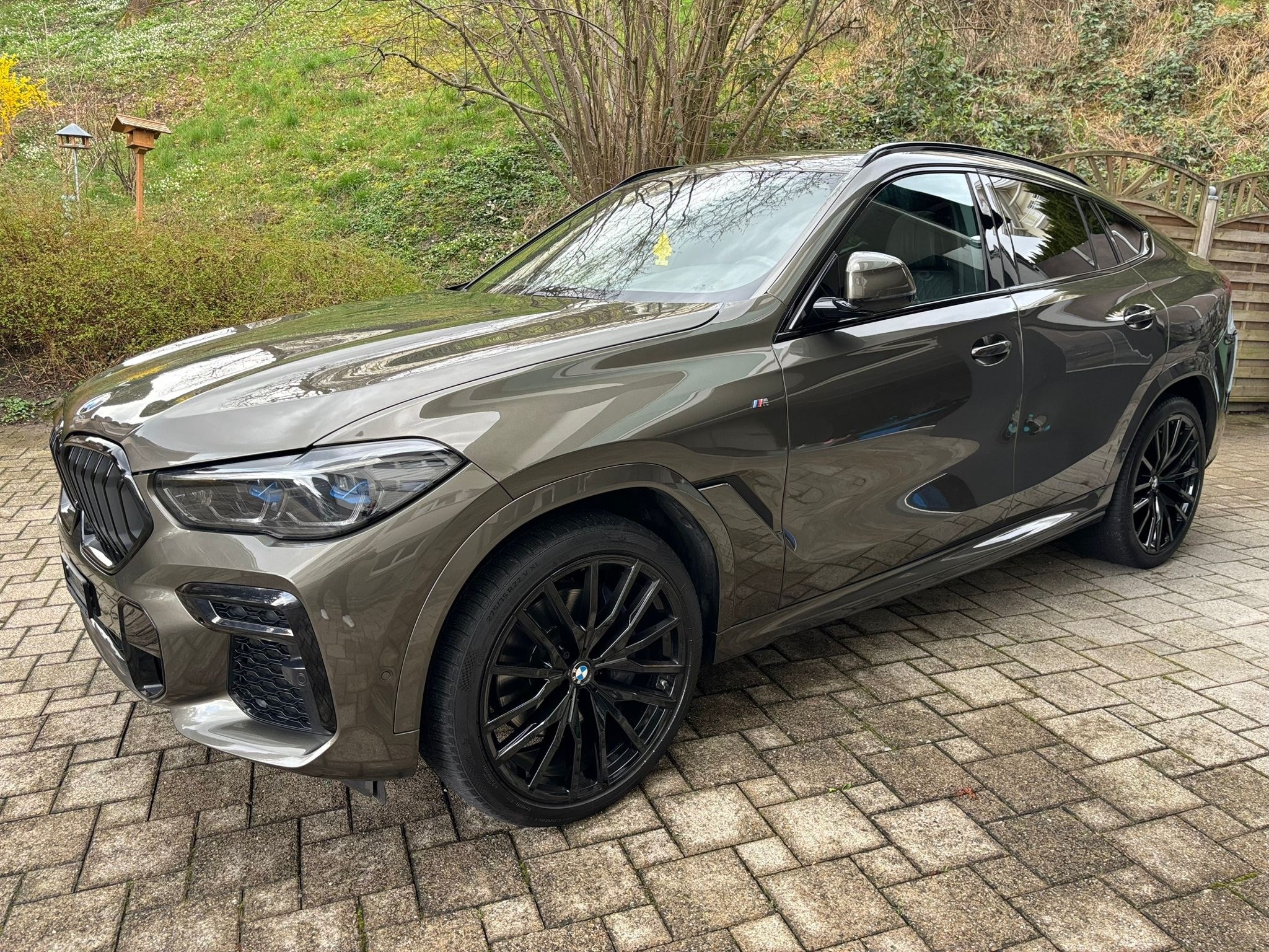 BMW X6 xDrive 48V 30d M Sport Steptronic