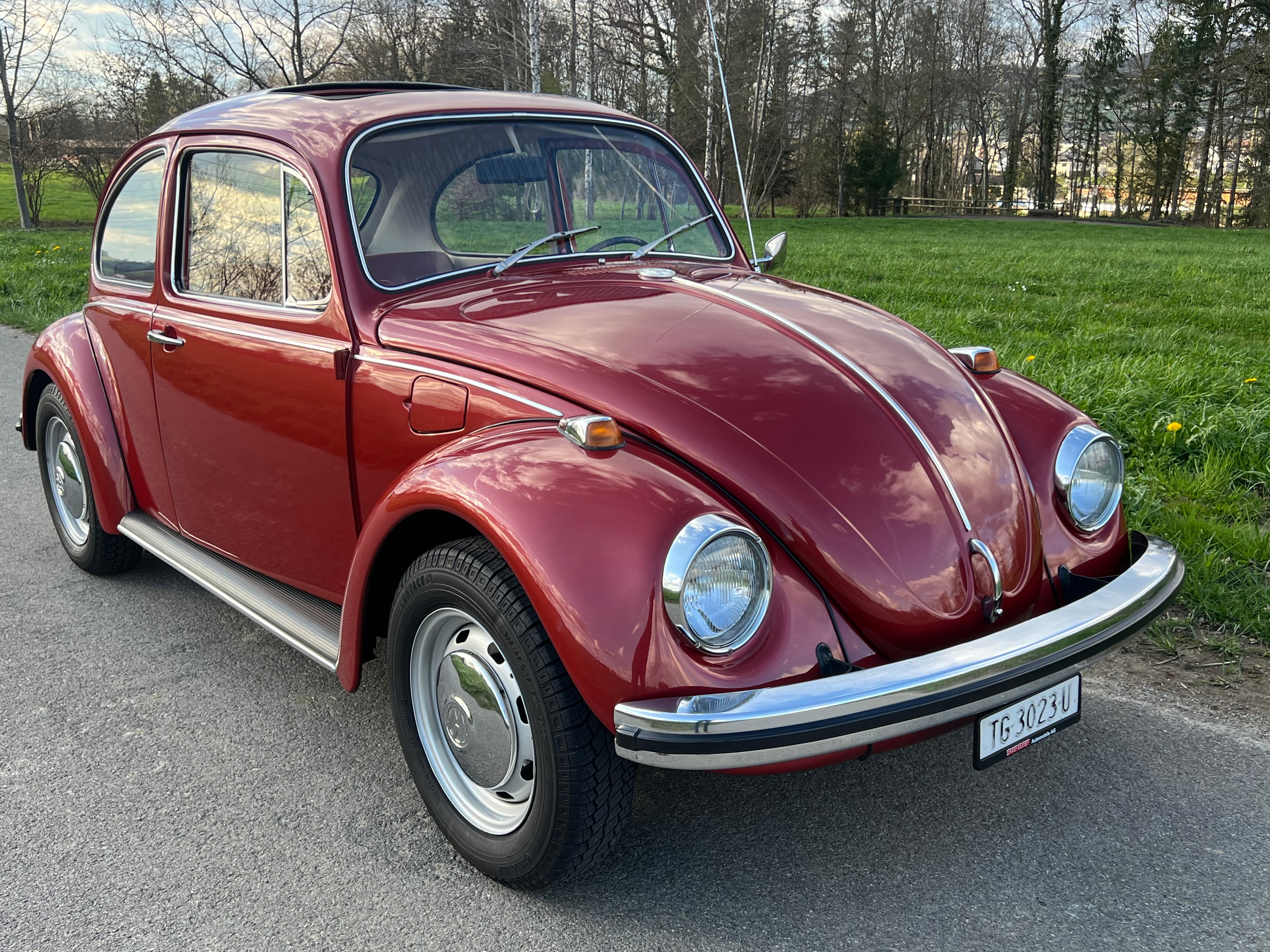 VW Käfer