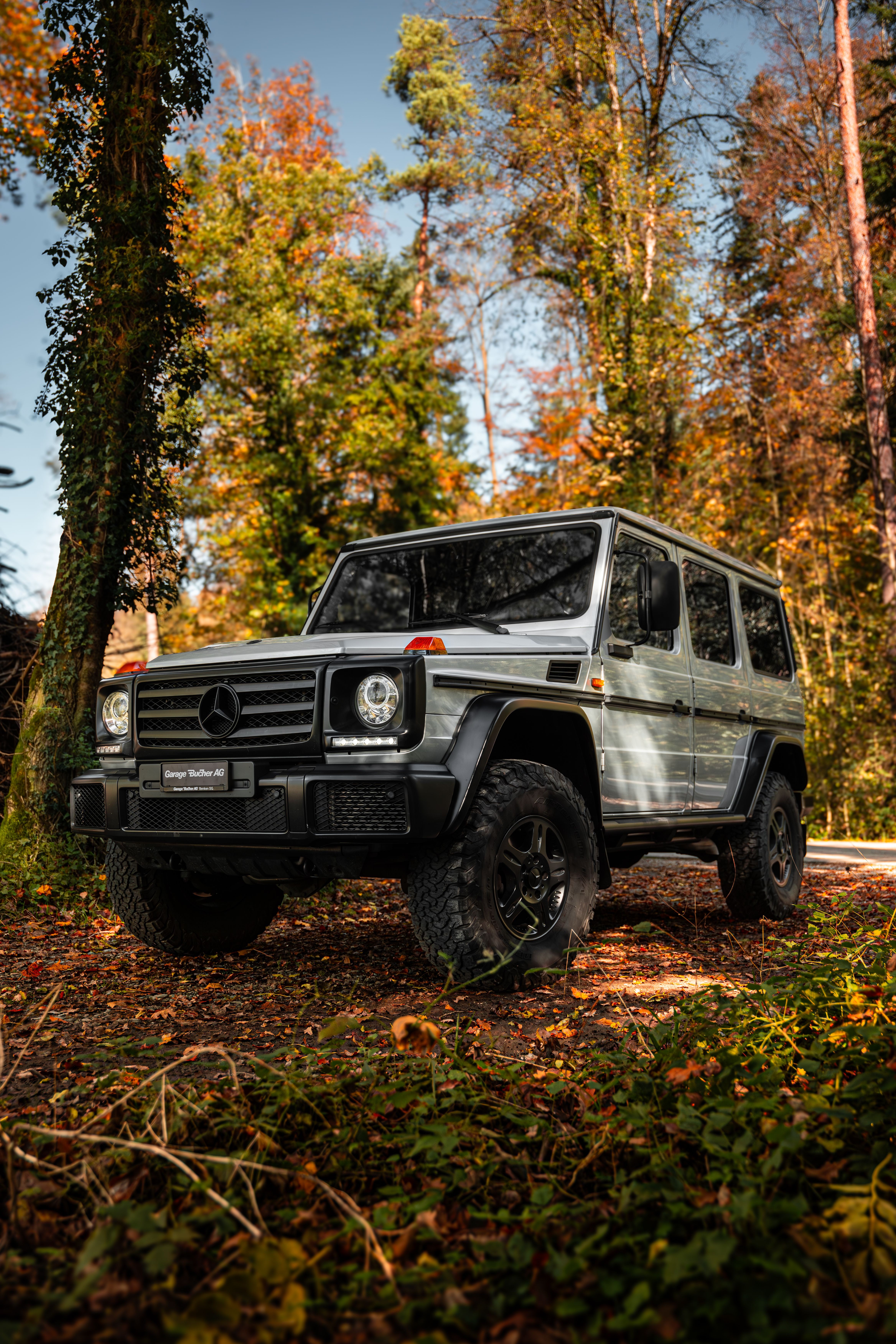 MERCEDES-BENZ G 350 d Professional 7G-Tronic