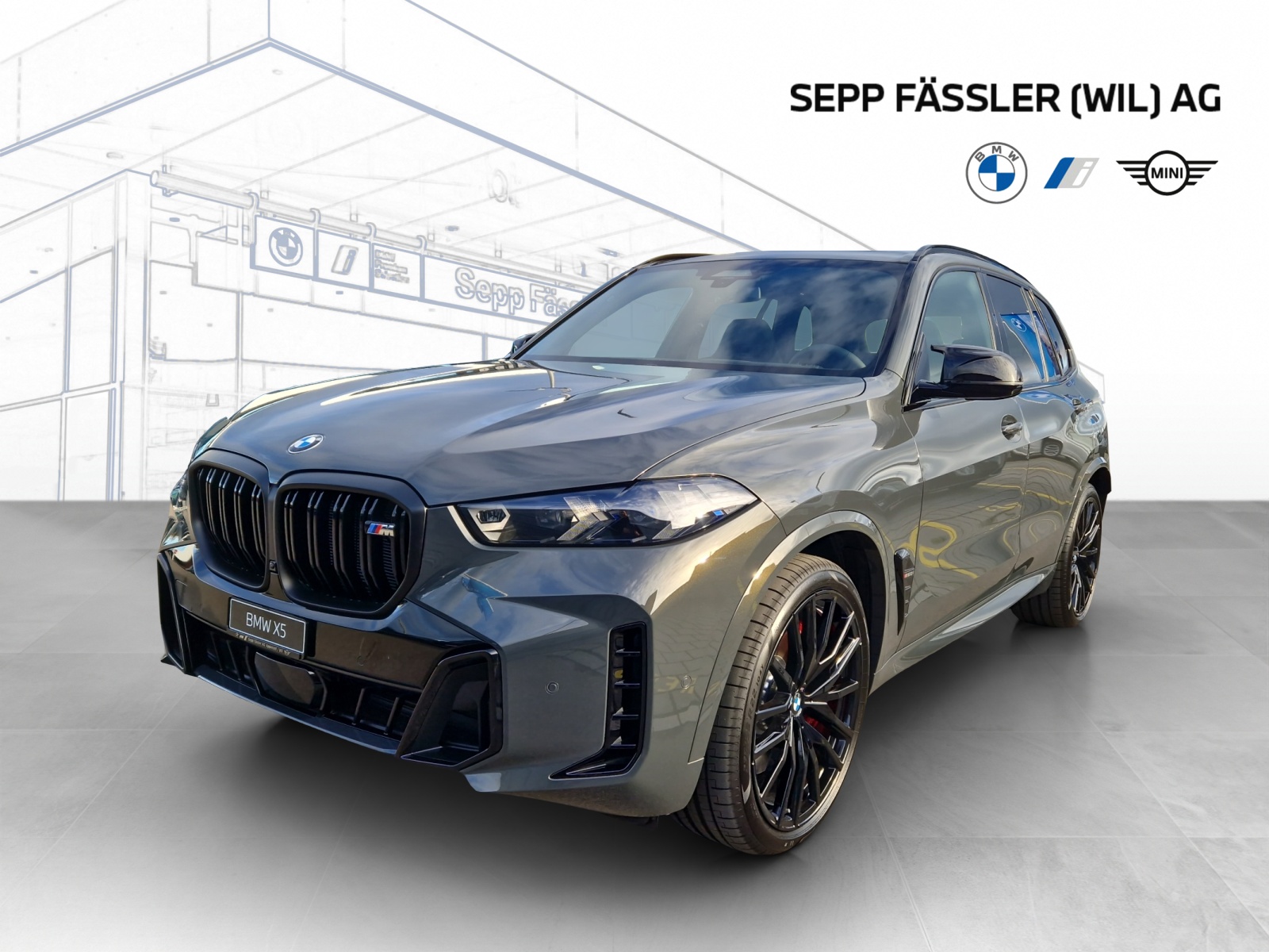 BMW X5 xDrive 48V M60i M Sport Pro Steptronic