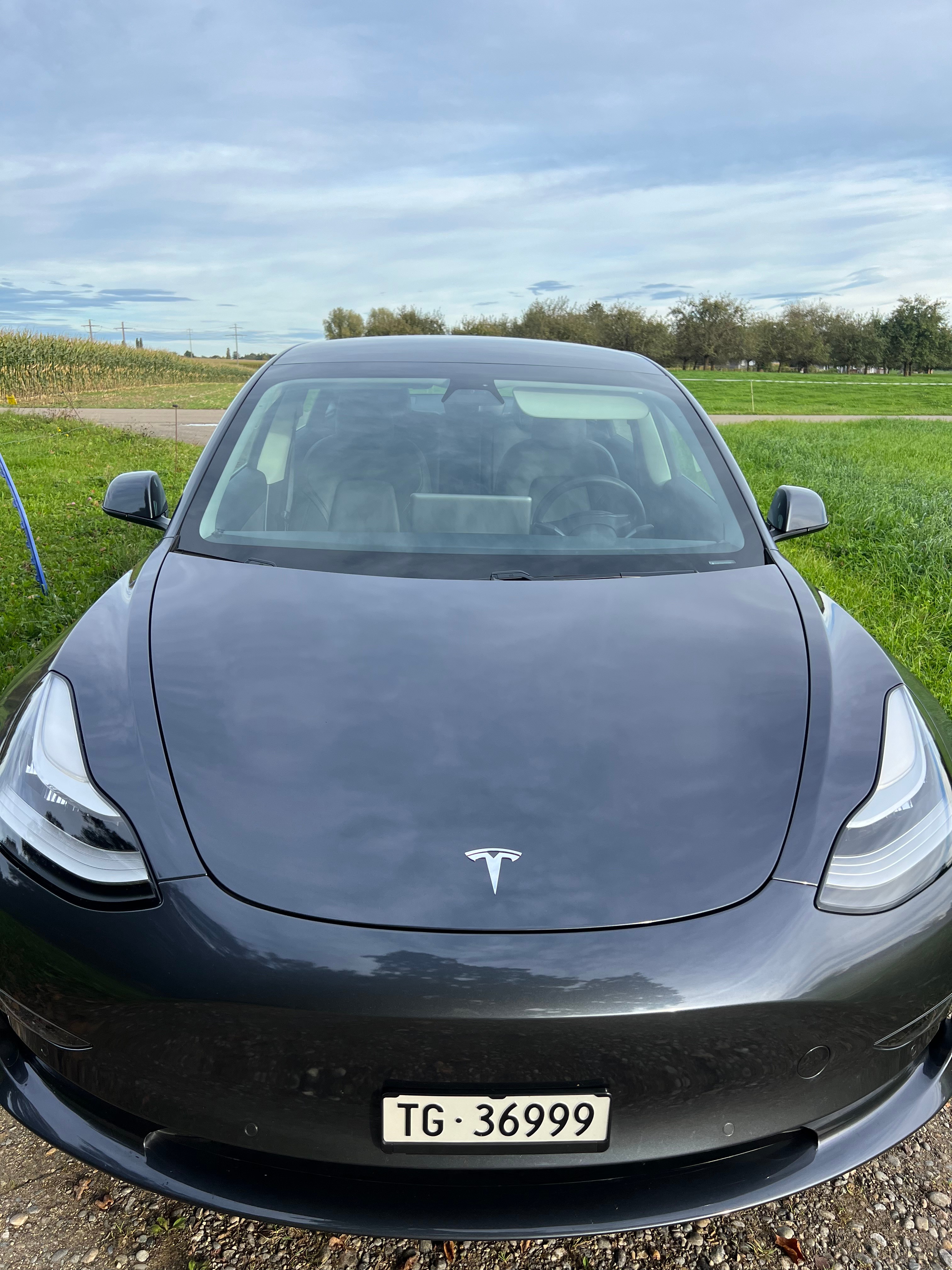 TESLA Model 3 Long Range Dual Motor AWD