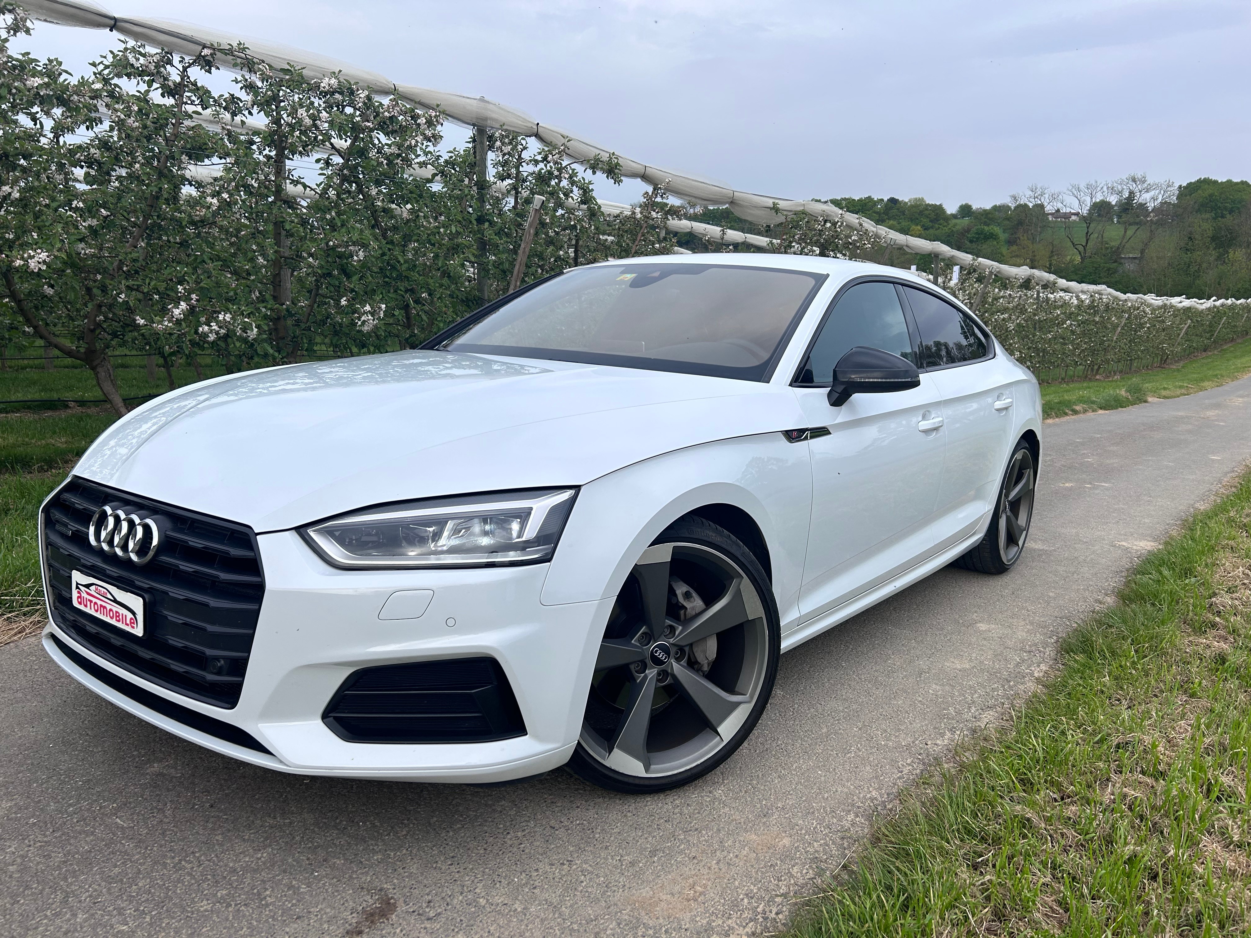 AUDI A5 Sportback 2.0 TDI Sport quattro