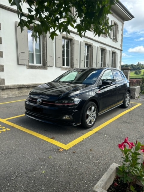 VW Polo 2.0 TSI GTI DSG