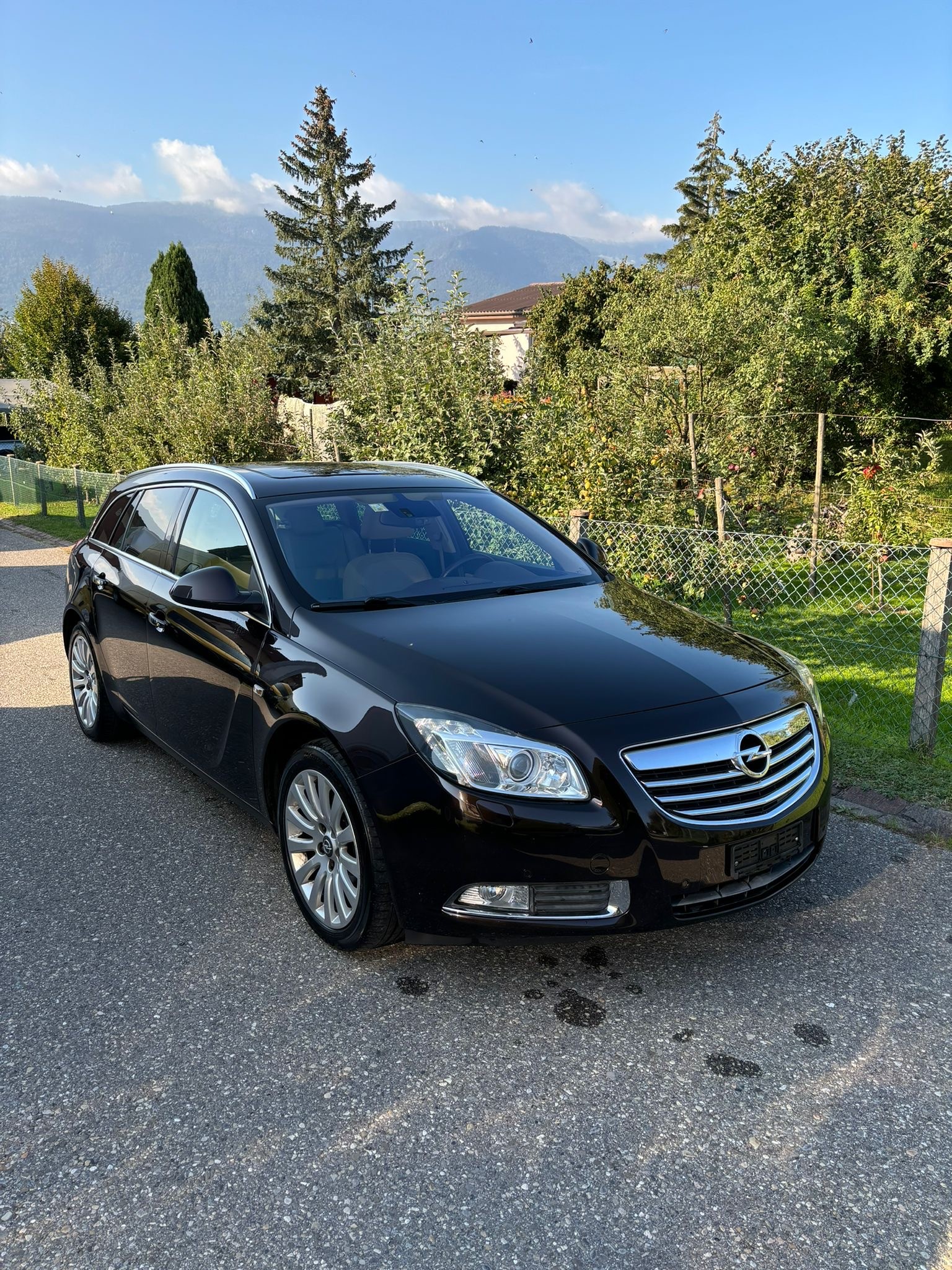 OPEL Insignia ST 2.0 Turbo Cosmo 4WD Aut.