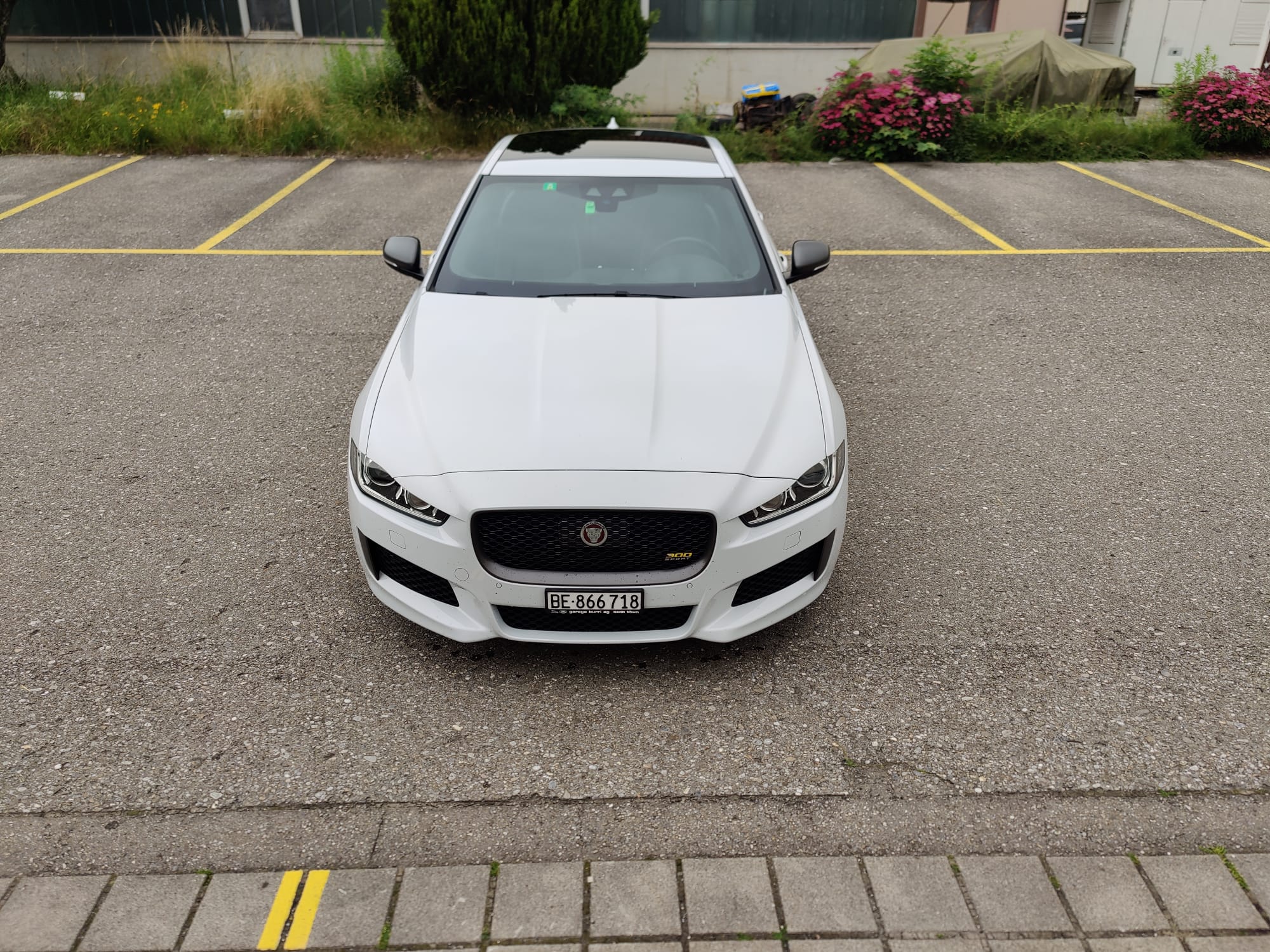 JAGUAR XE 30t 2.0 300 Sport AWD Automatic