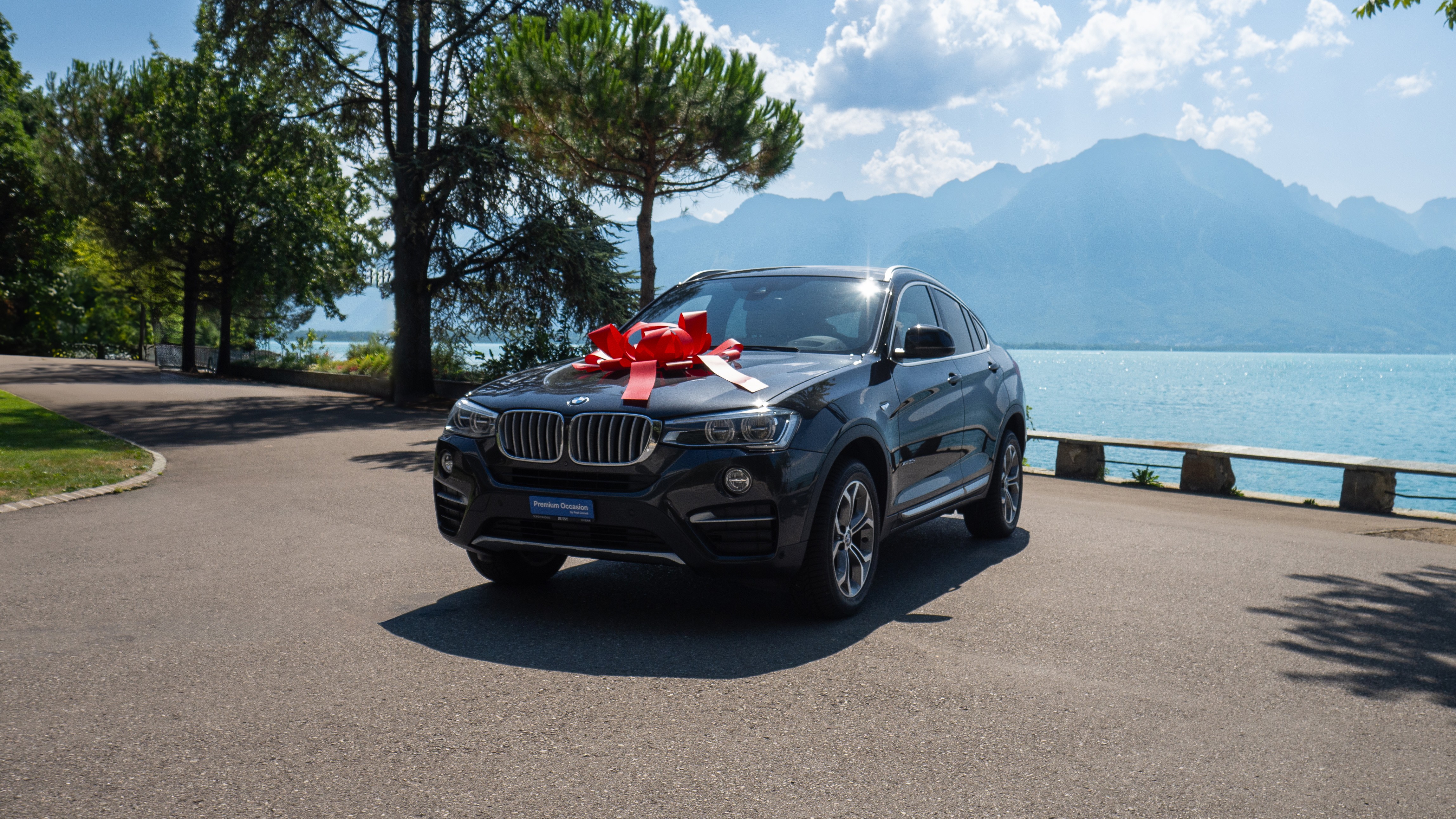 BMW X4 xDrive 20d xLine Steptronic