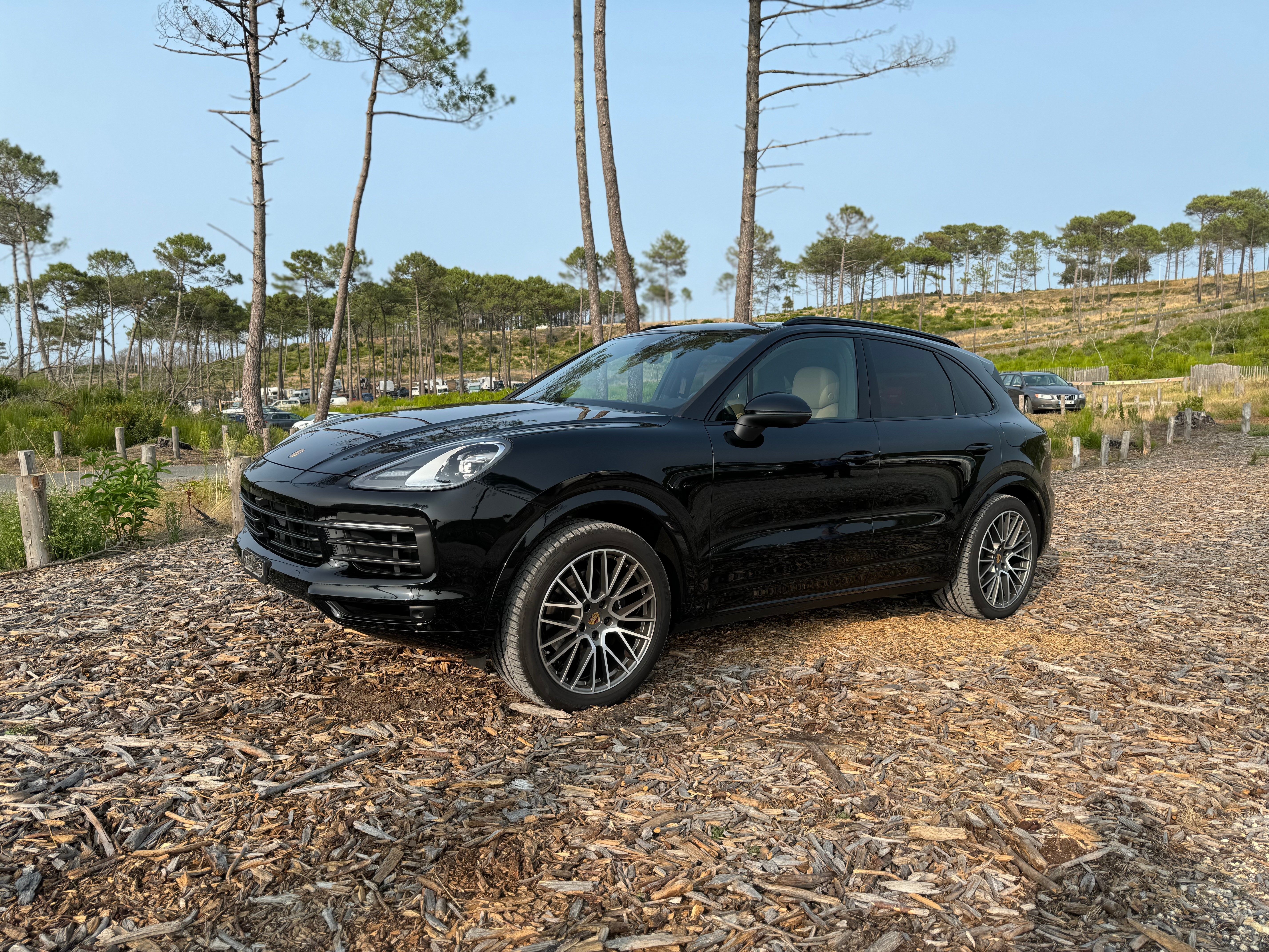 PORSCHE Cayenne E-Hybrid Platinum Edition