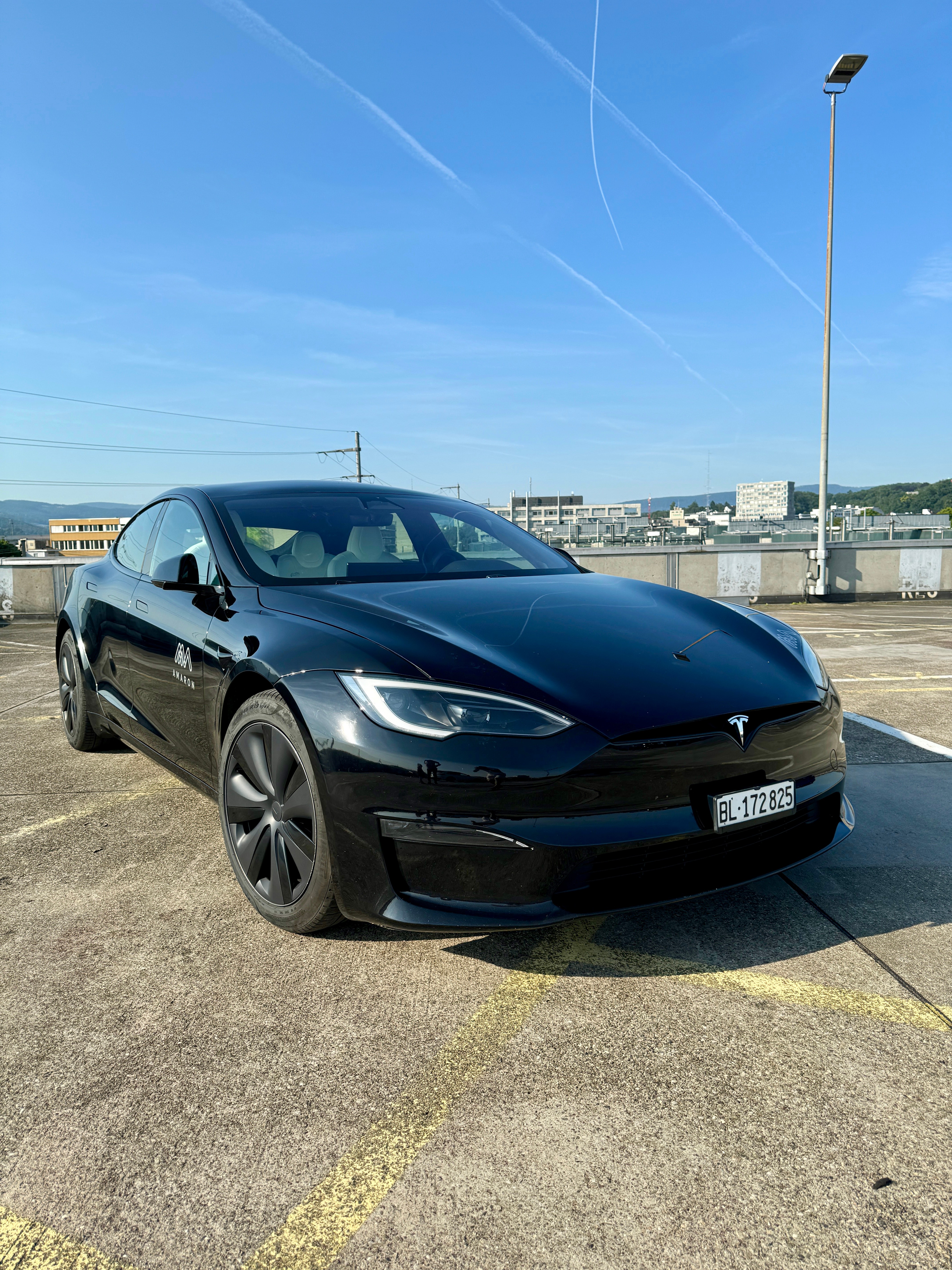 TESLA Model S 100 kWh Palladium