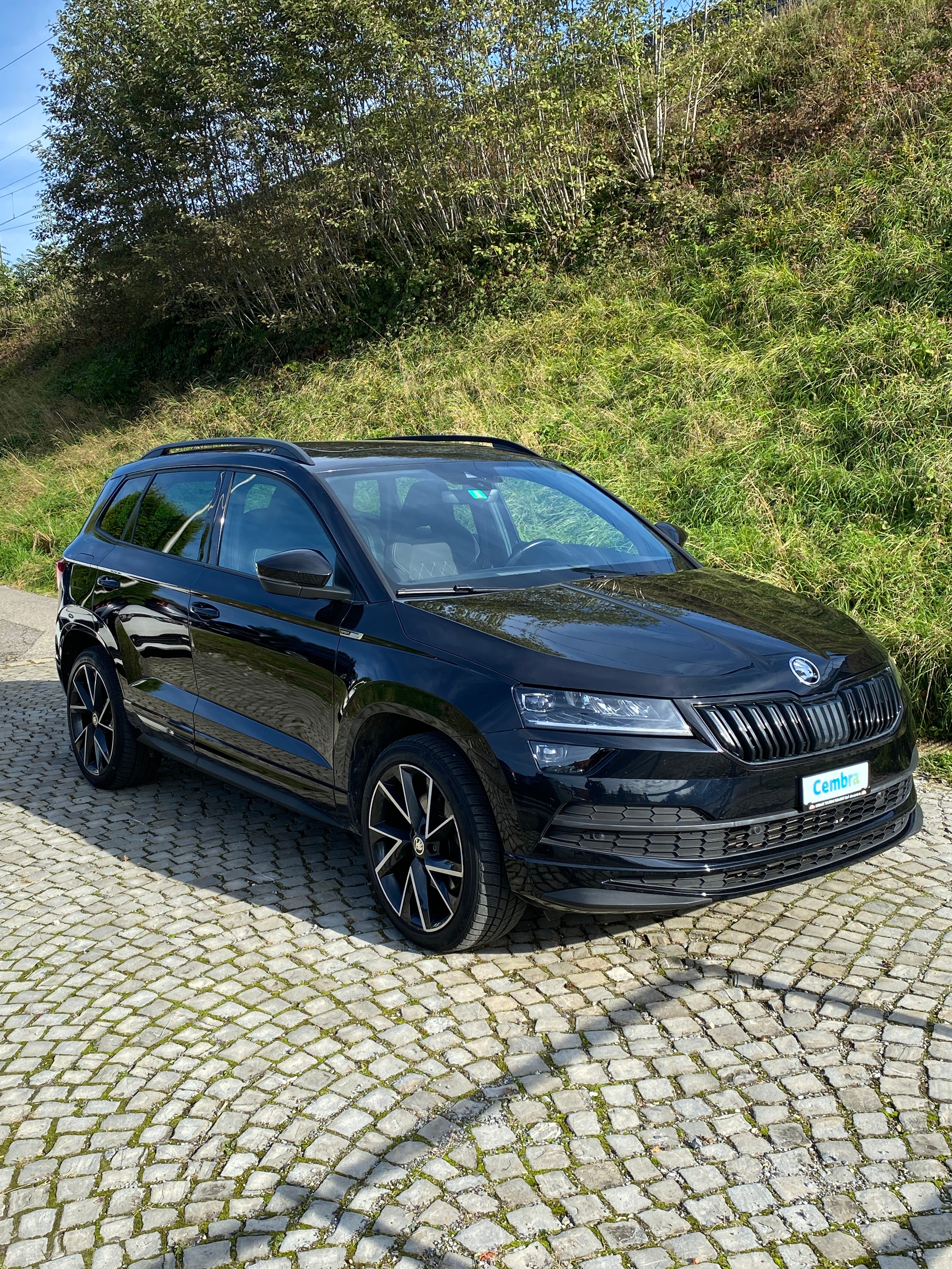 SKODA Karoq 2.0 TDI SCR SportLine 4x4 DSG