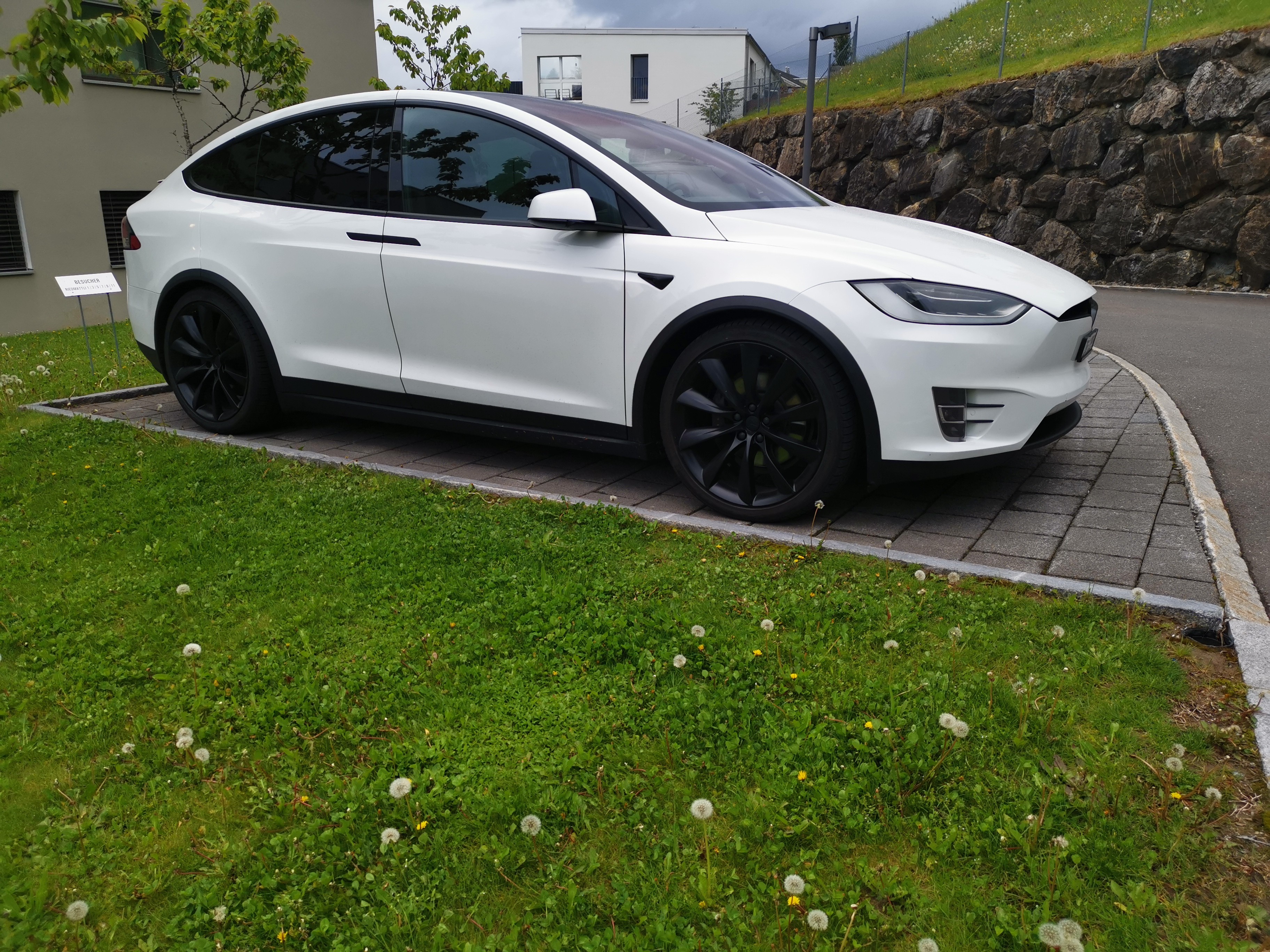 TESLA Model X 100 D