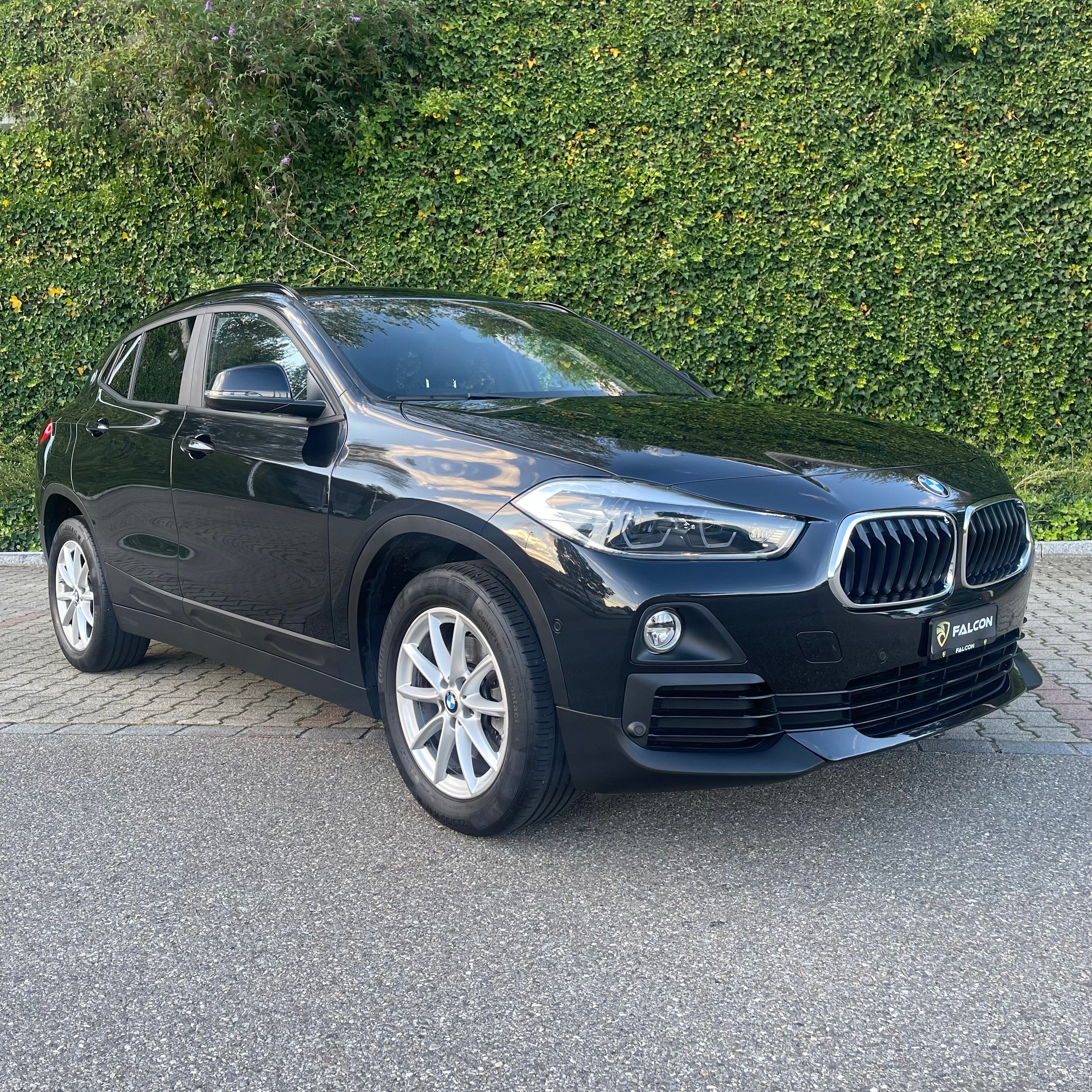 BMW X2 sDrive 18i Steptronic DSK