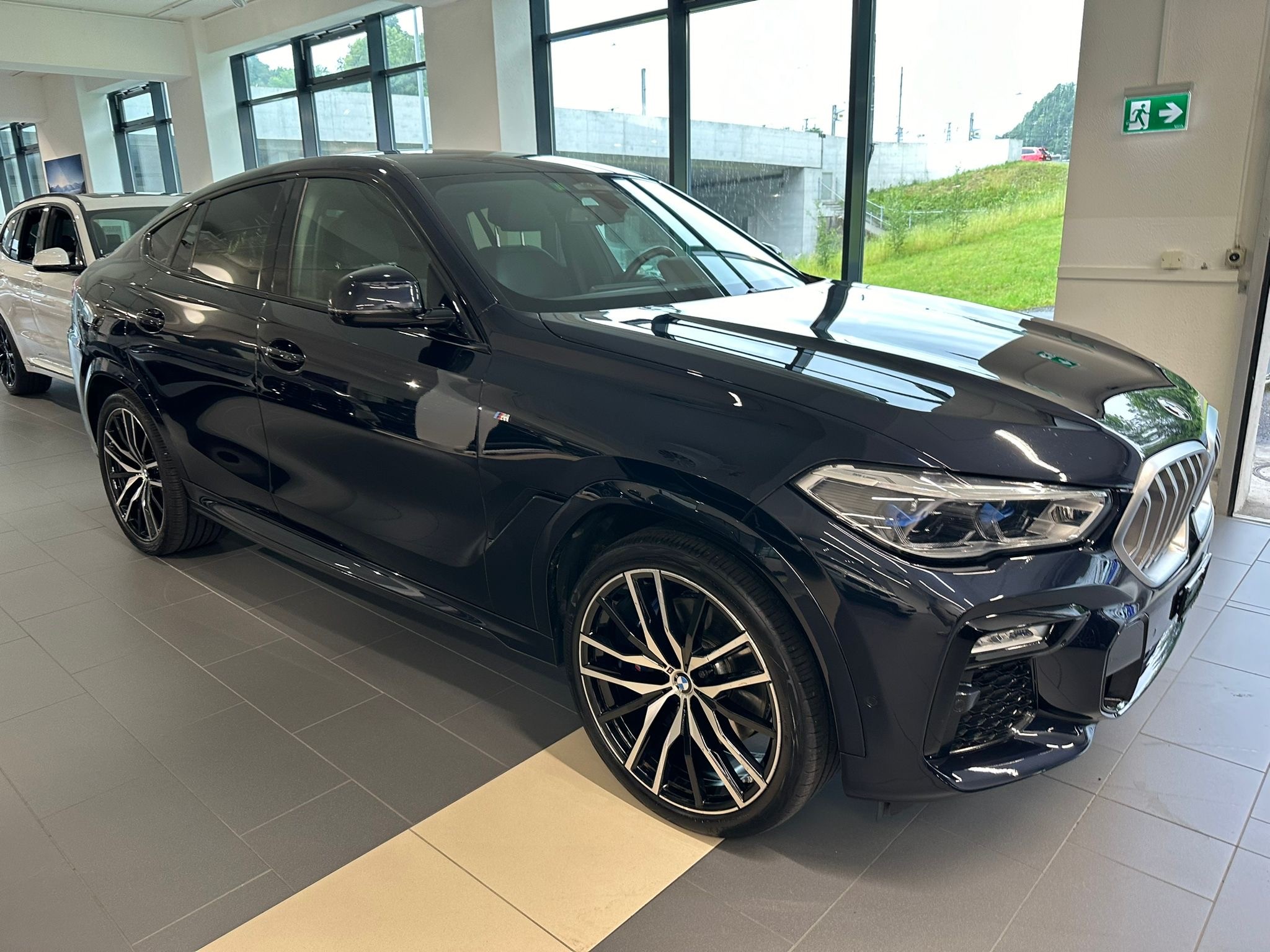 BMW X6 xDrive 48V 30d M Sport Steptronic